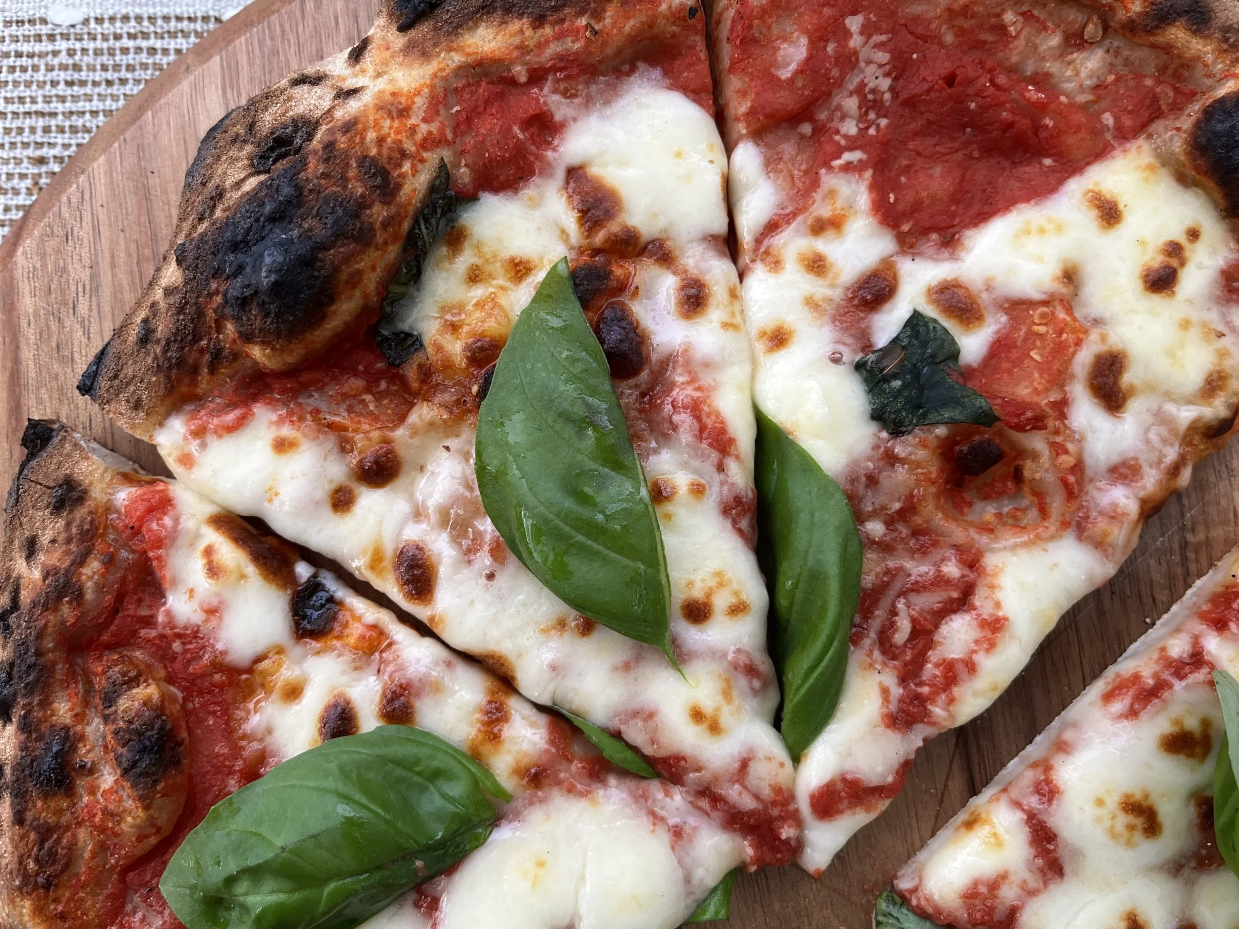 Close-up of a freshly baked cheese and tomato pizza with basil leaves on top, showing a slightly charred crust, melted cheese, and tomato sauce.