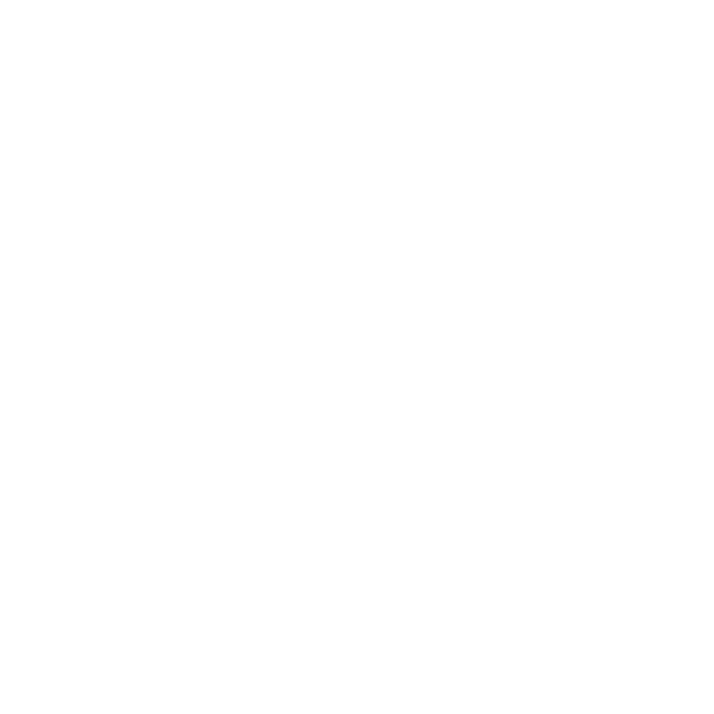 Digital Brain Icon