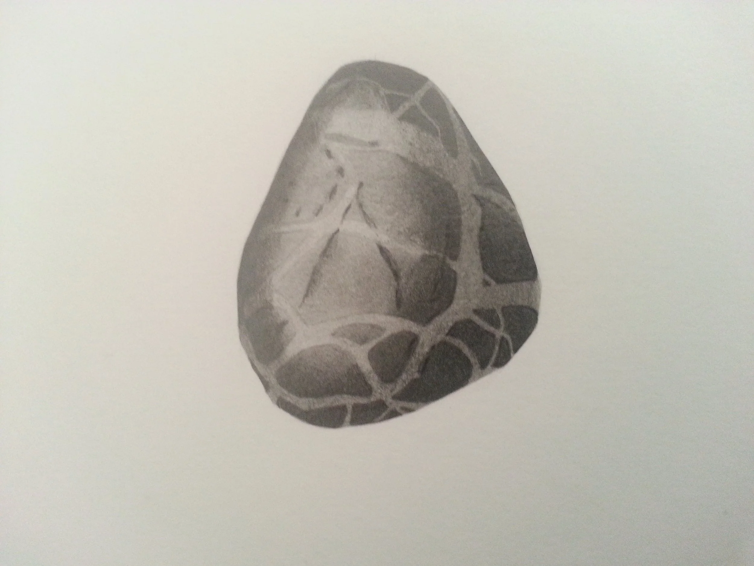 20140223_094005.jpg