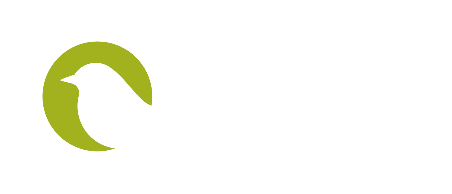 Chime Housing