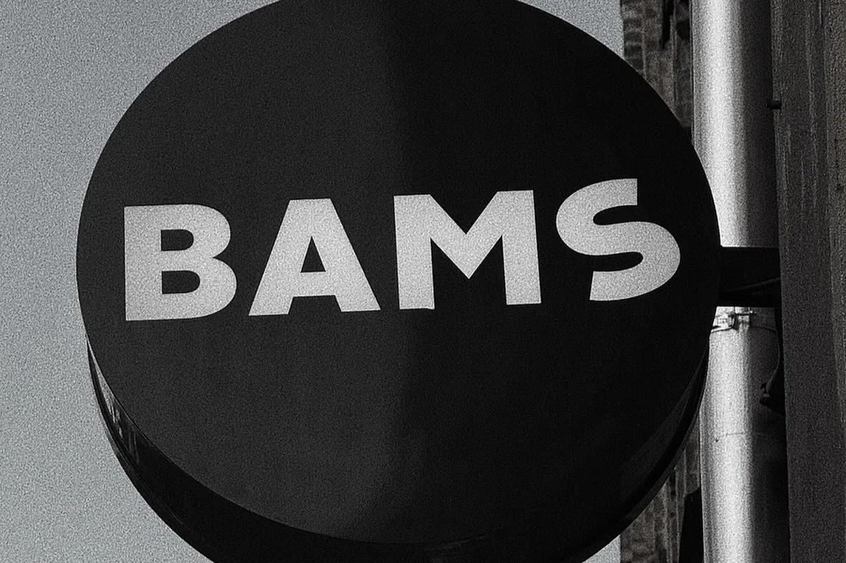bams logo