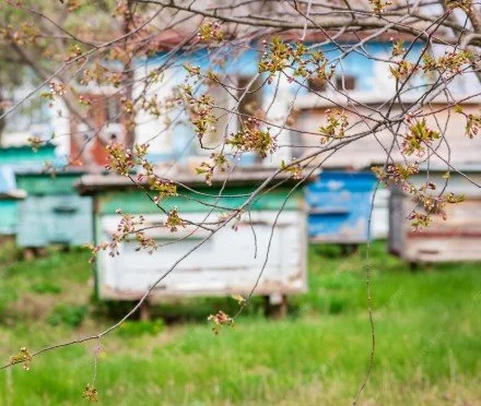 Complete Memorial Beehive Package