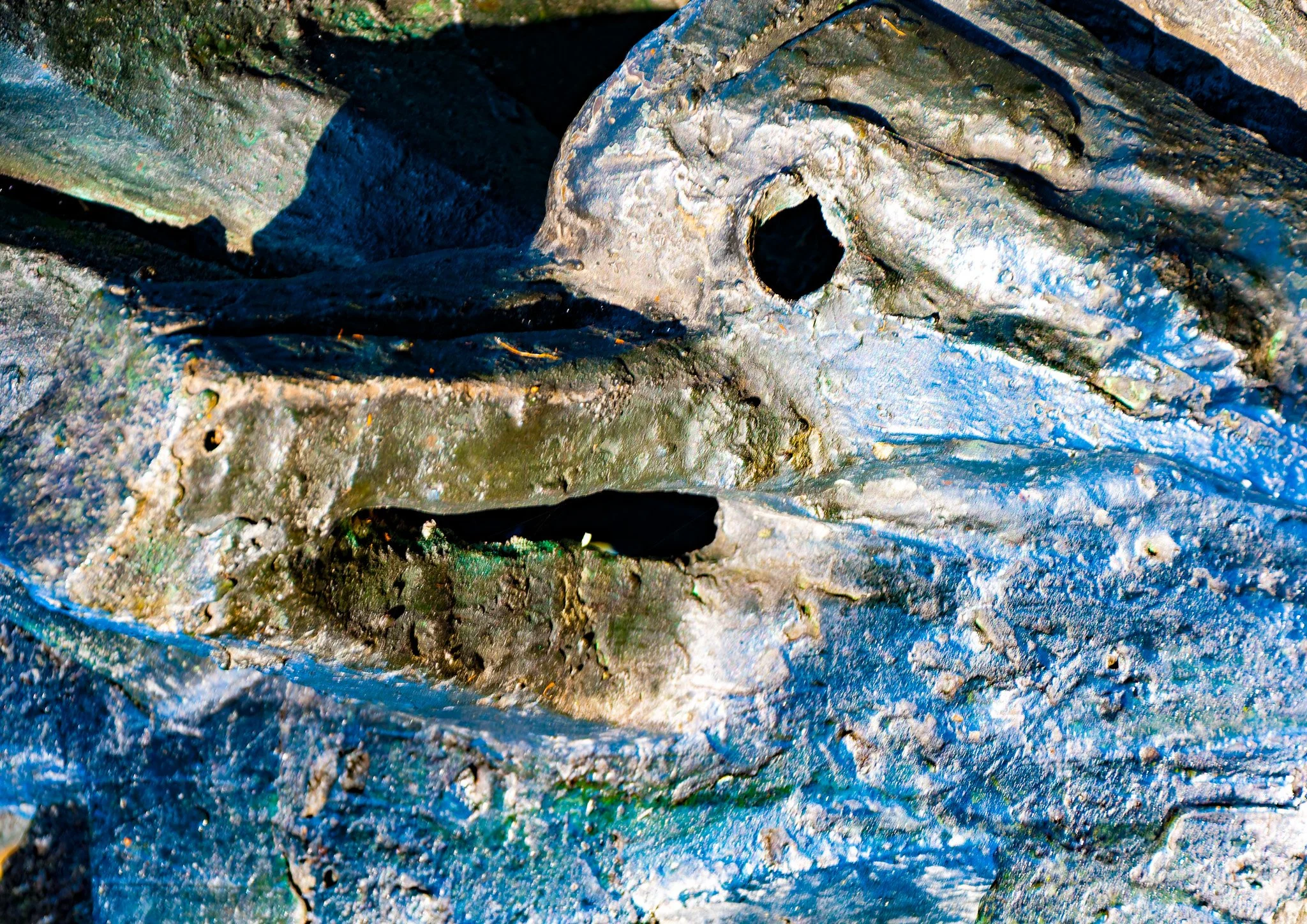 Fossil