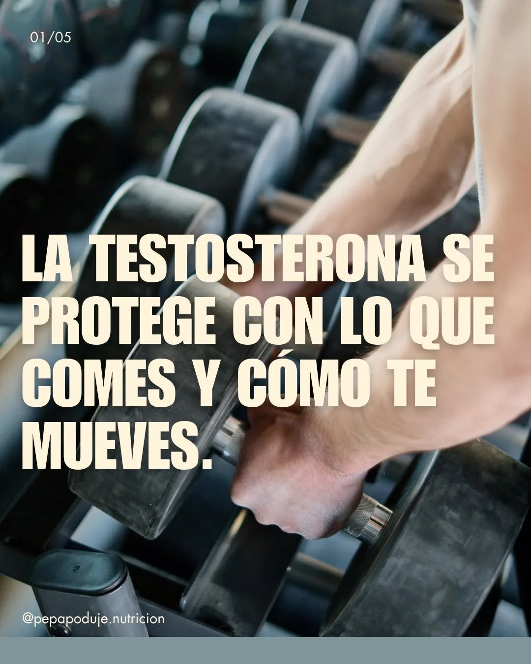 La testosterona no se puede detener en su declive natural. Pero s&iacute; hay factores que moderan su disminuci&oacute;n y factores que la aceleran.

Lo que la alimentaci&oacute;n puede hacer:
Zinc, como cofactor directo en la s&iacute;ntesis de test