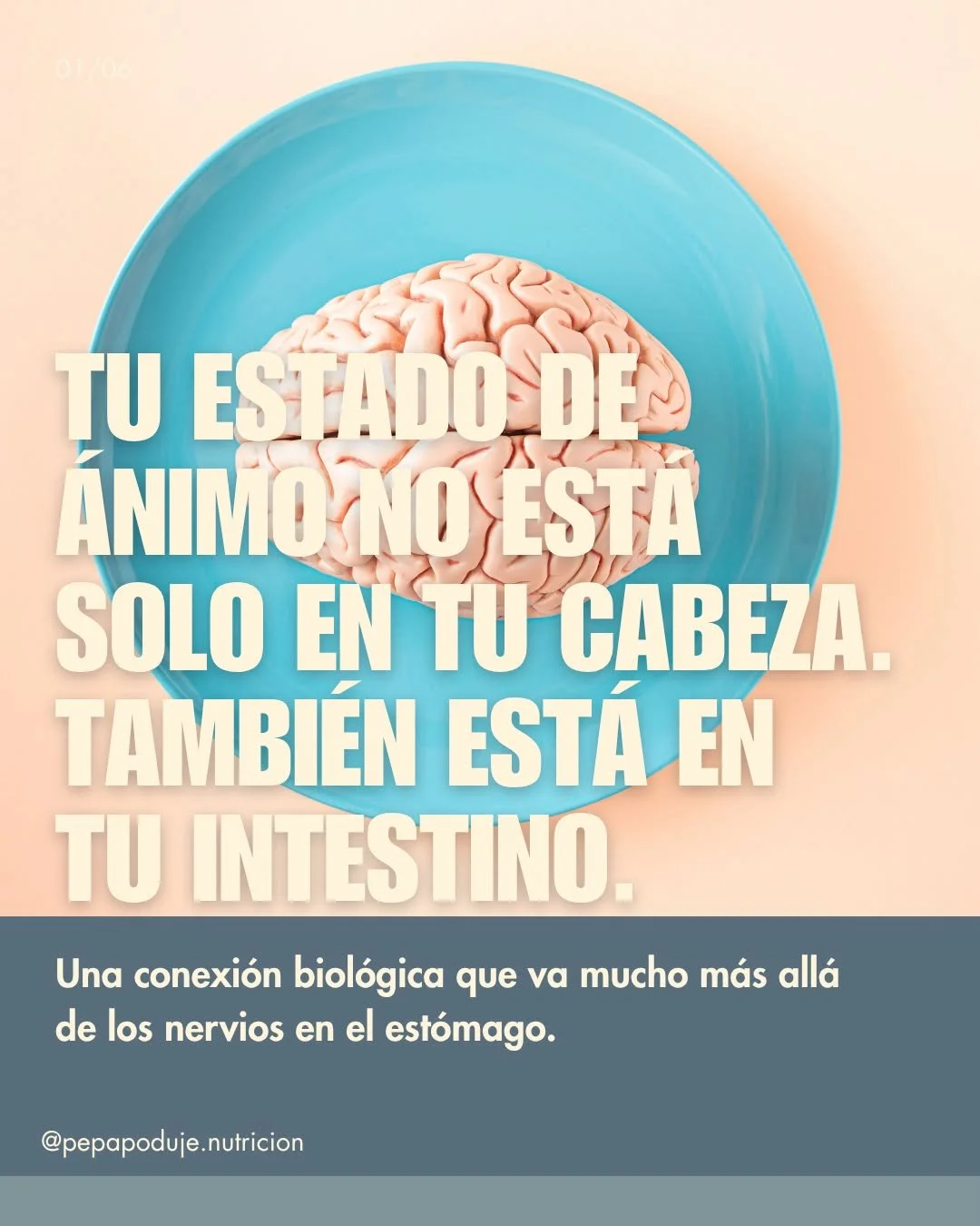 TU ESTADO DE &Aacute;NIMO NO EST&Aacute; SOLO EN TU CABEZA. TAMBI&Eacute;N EST&Aacute; CONECTADO CON TU INTESTINO.

El eje intestino-cerebro es una red de comunicaci&oacute;n bidireccional en la que intervienen el nervio vago, el sistema inmunitario,