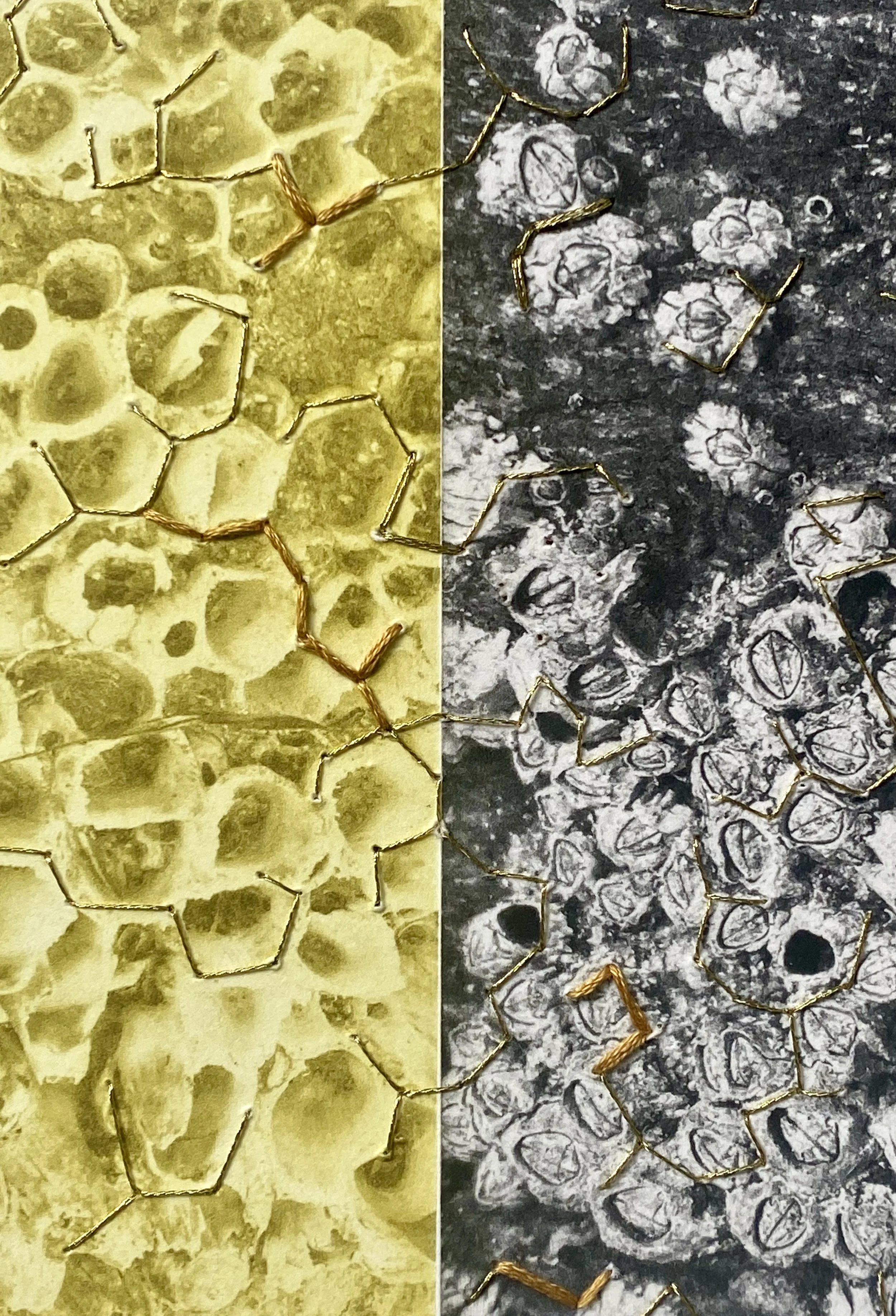 habitare