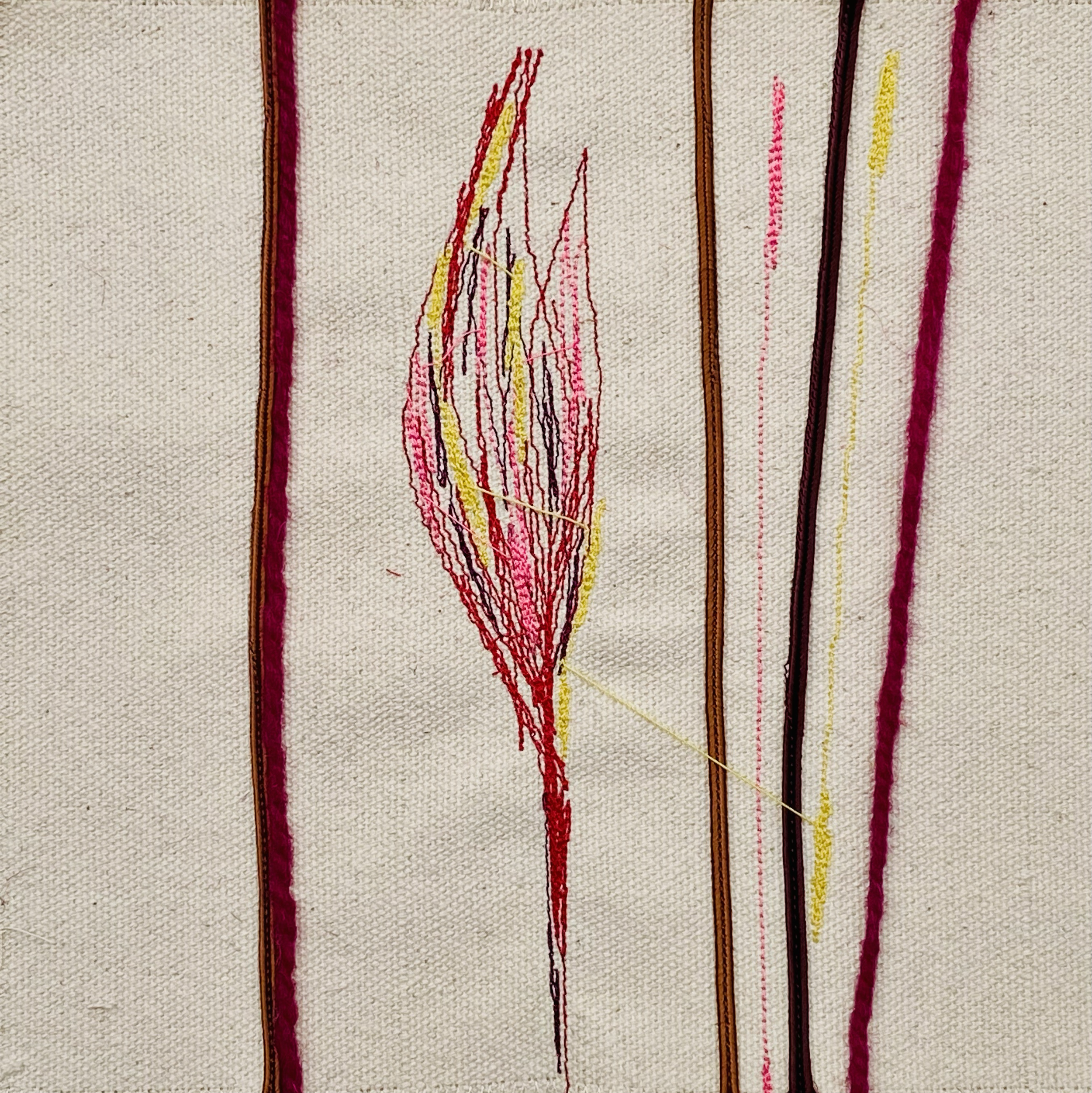 IMG_4895.png