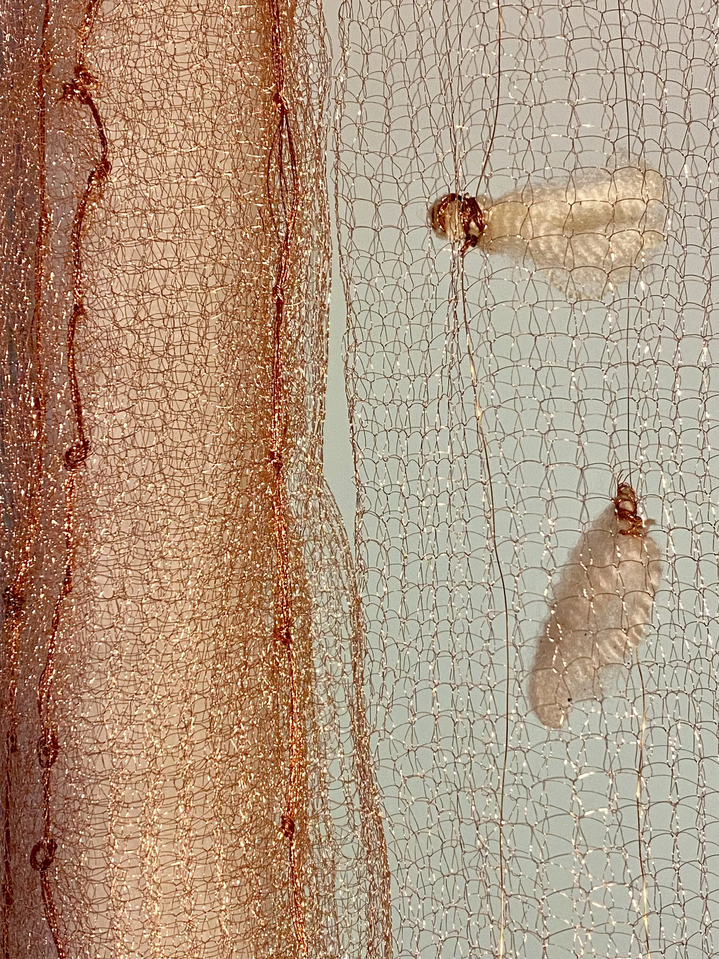 materia rudis