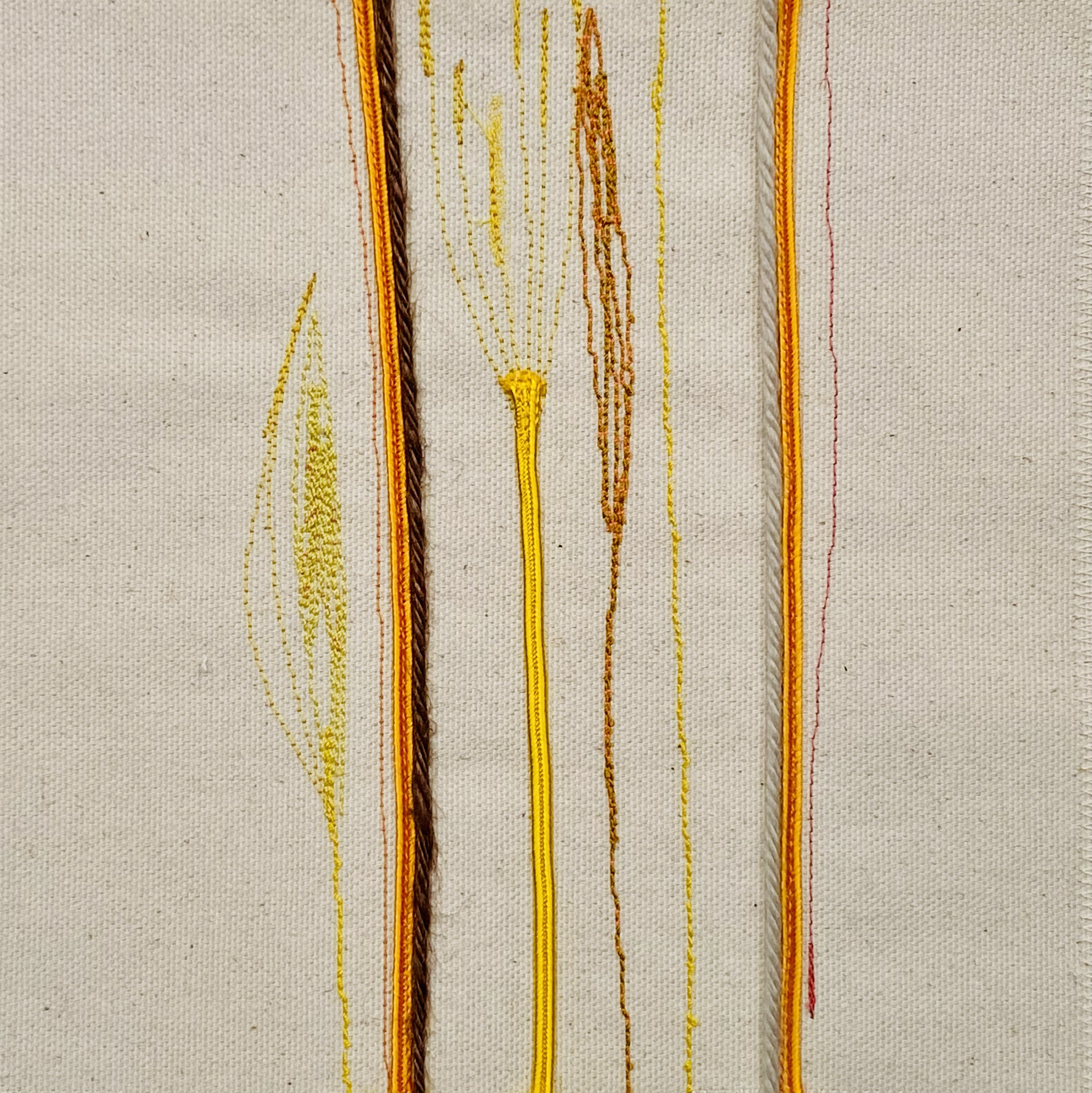 IMG_4938.png