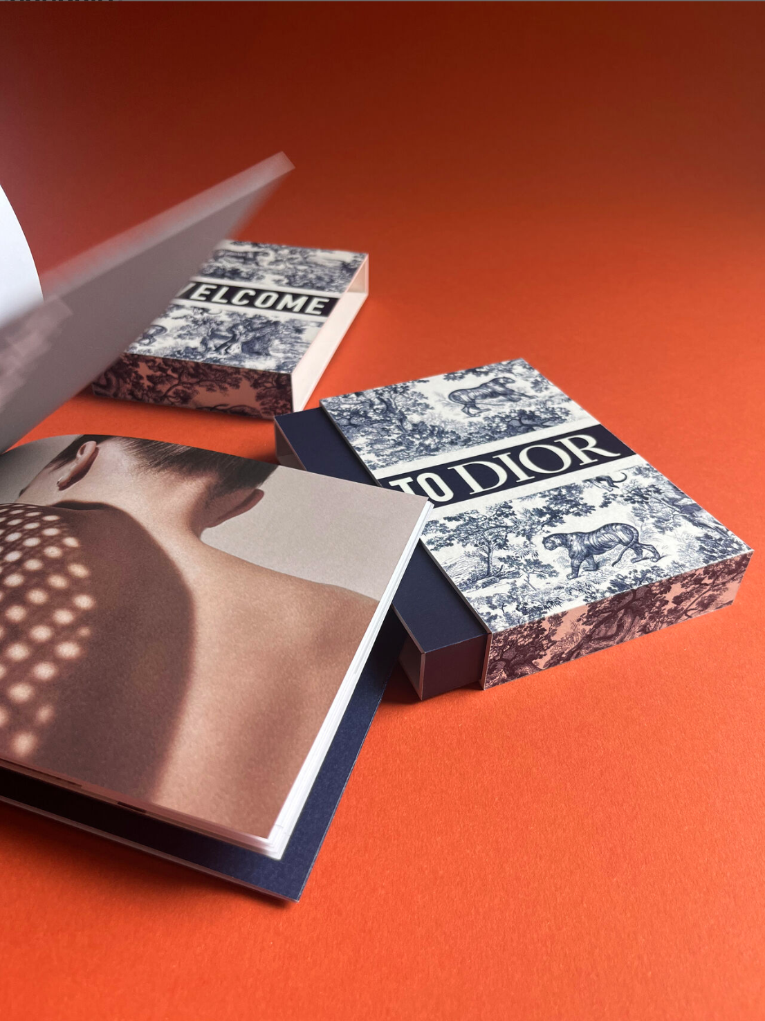 DIOR-1.png