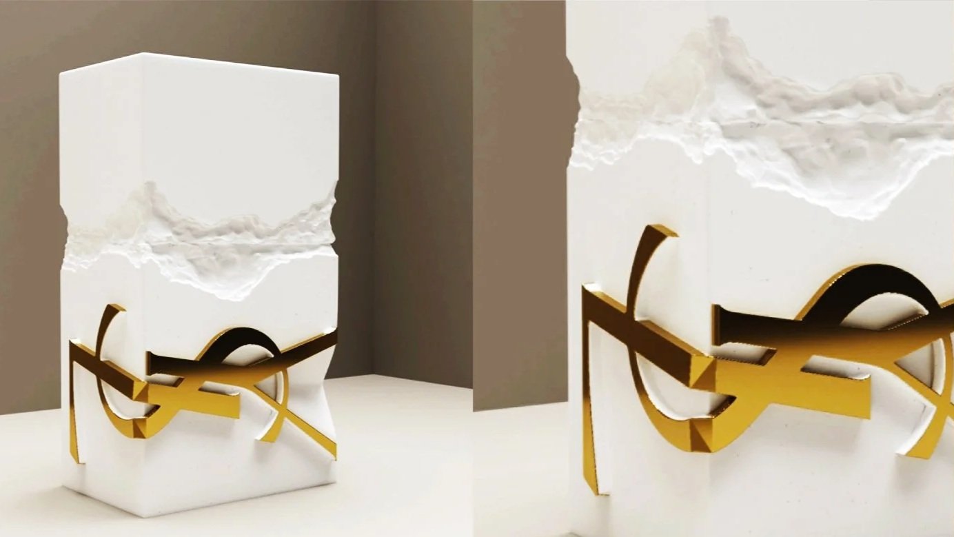 pack_blc_ysl.jpg