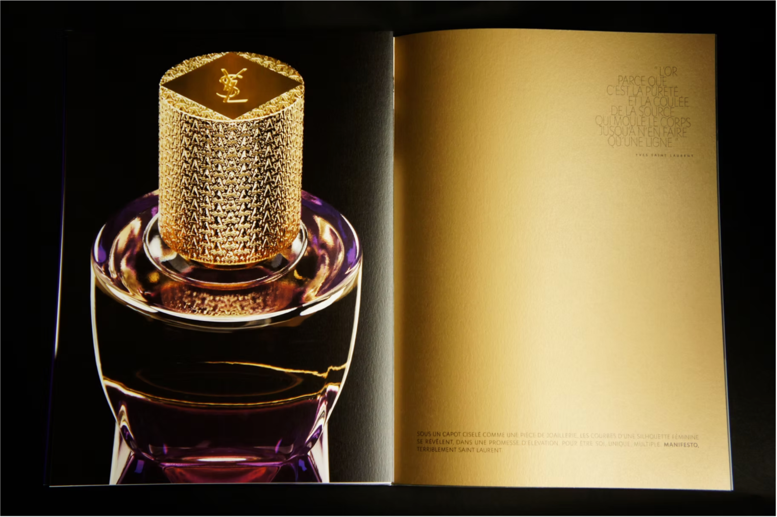 ysl_2.png