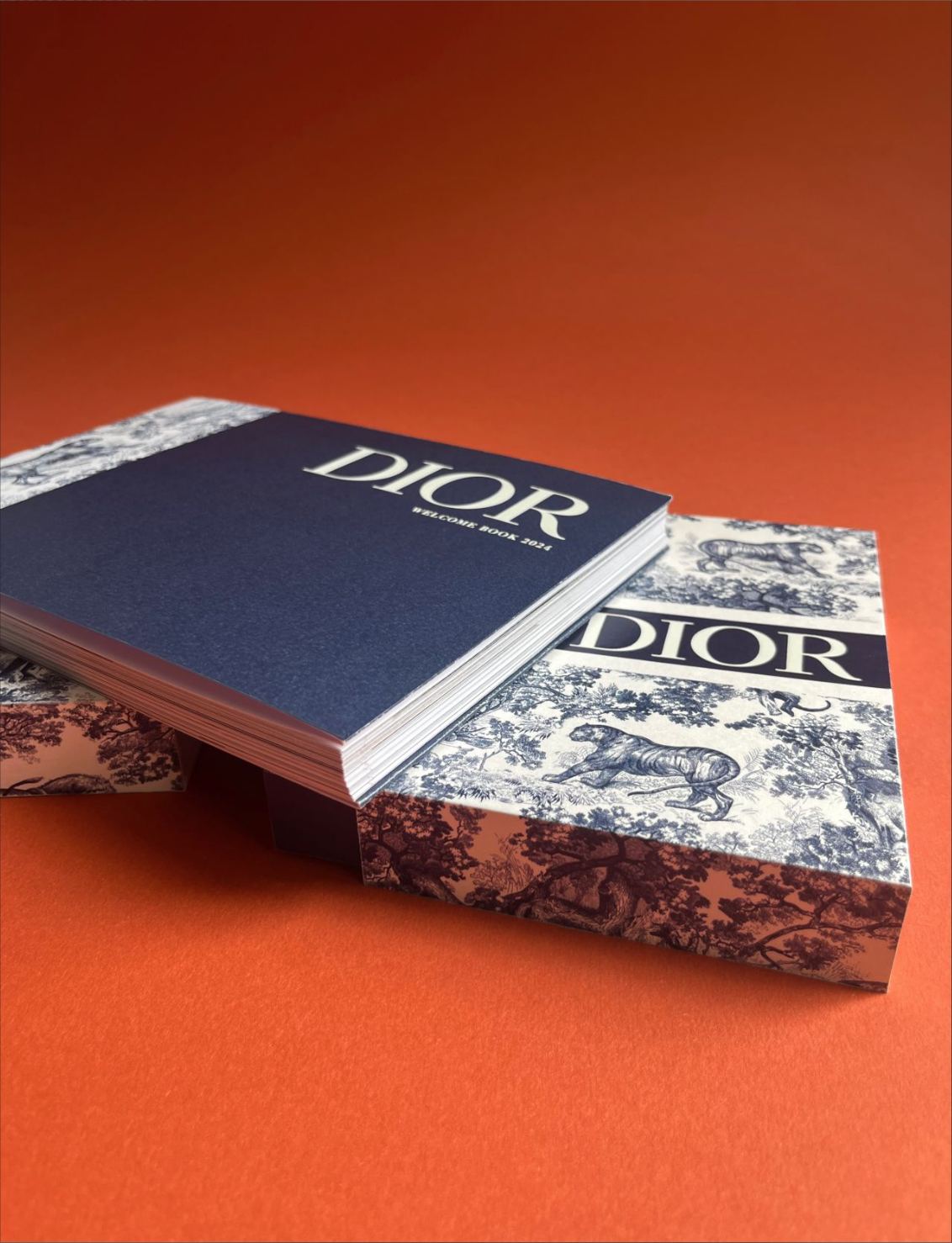 DIOR-2.png