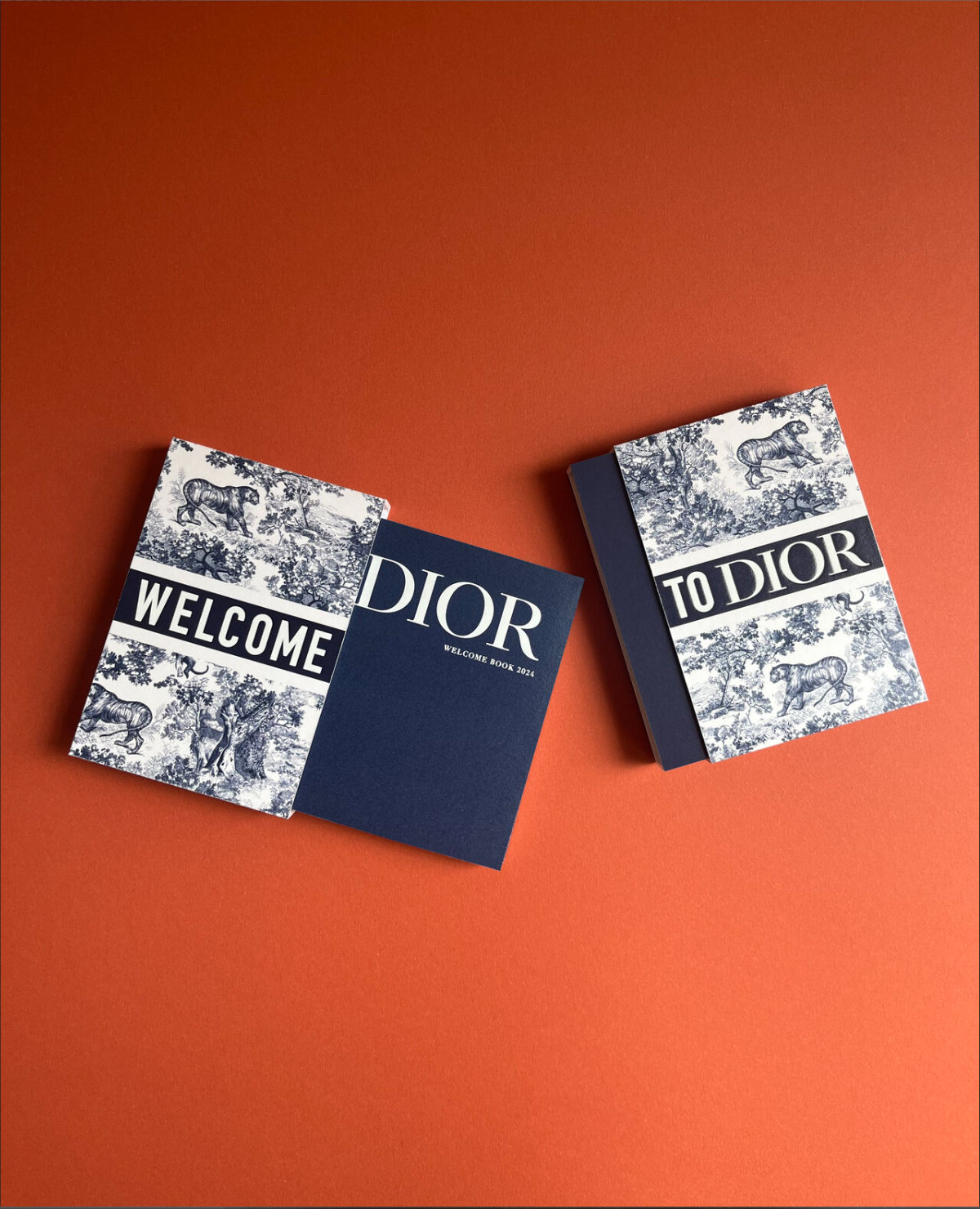 DIOR-3.png