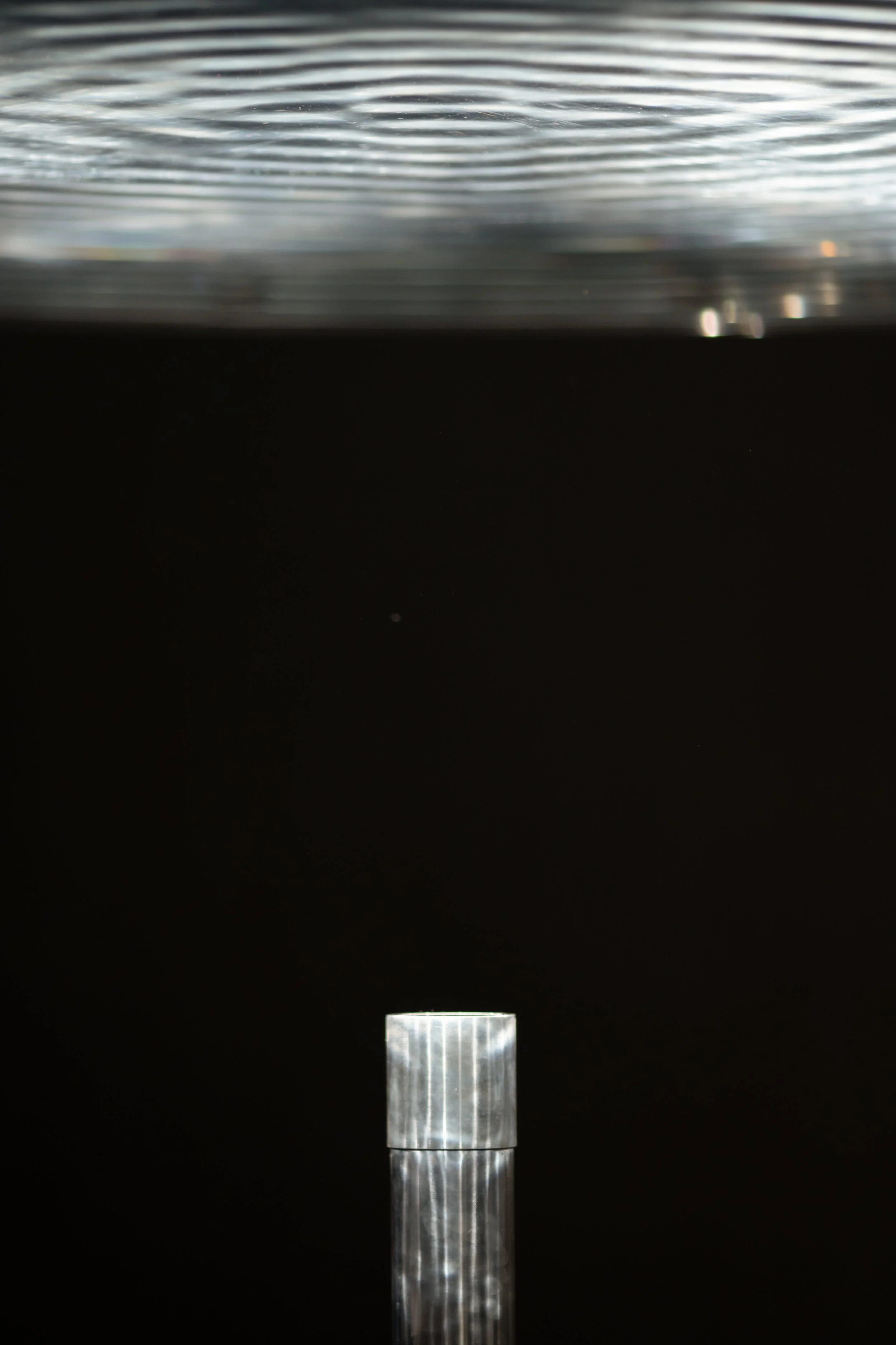 SCiampone_JBS_MoF-15.jpg