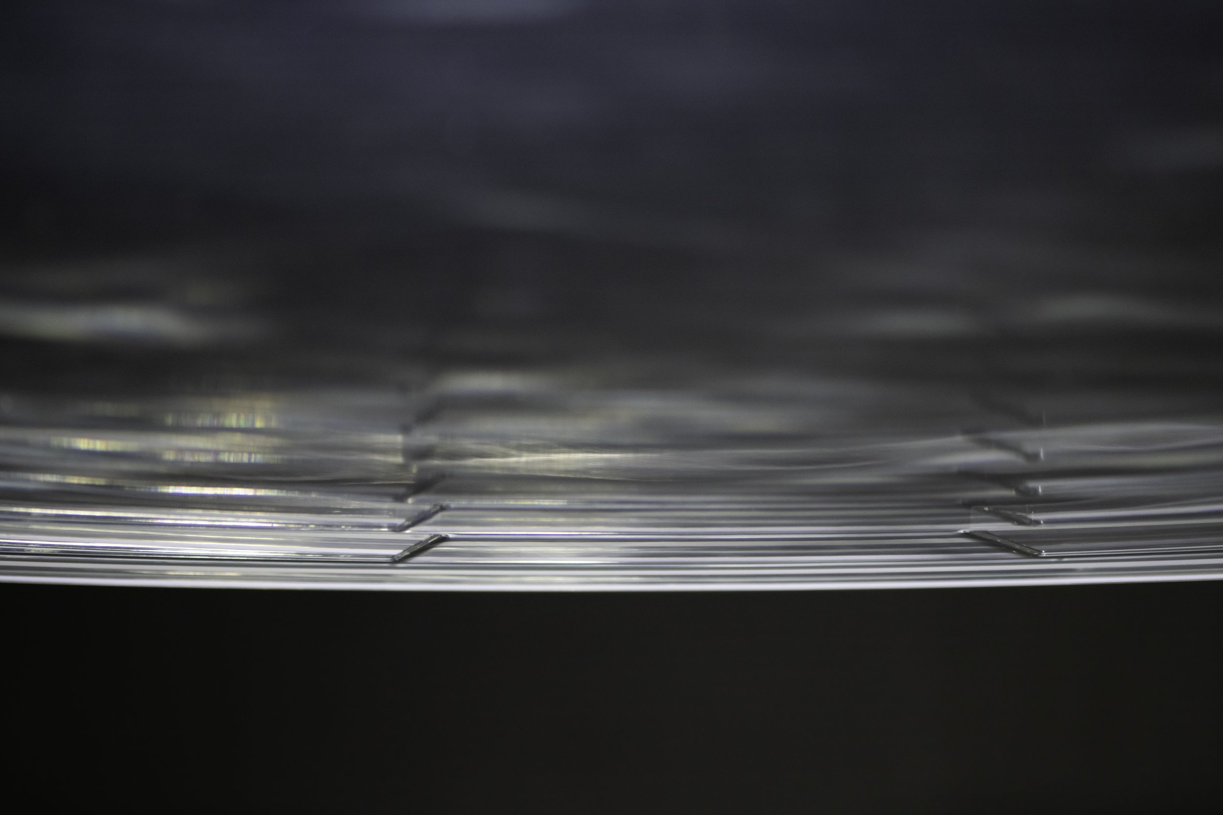 SCiampone_JBS_MoF-16.JPG