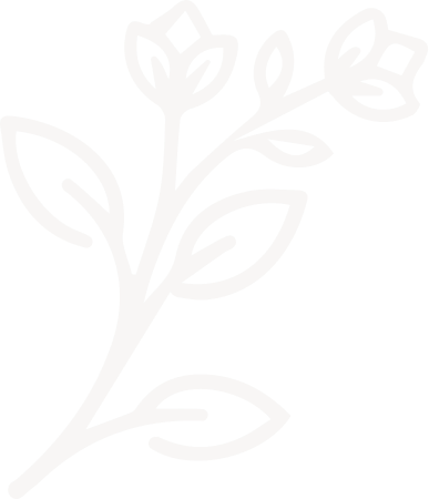 Outline drawing of a flowering plant with leaves and buds.