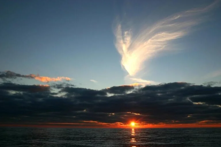 Dream of Gerontius | Elysian Singers and Orchestra