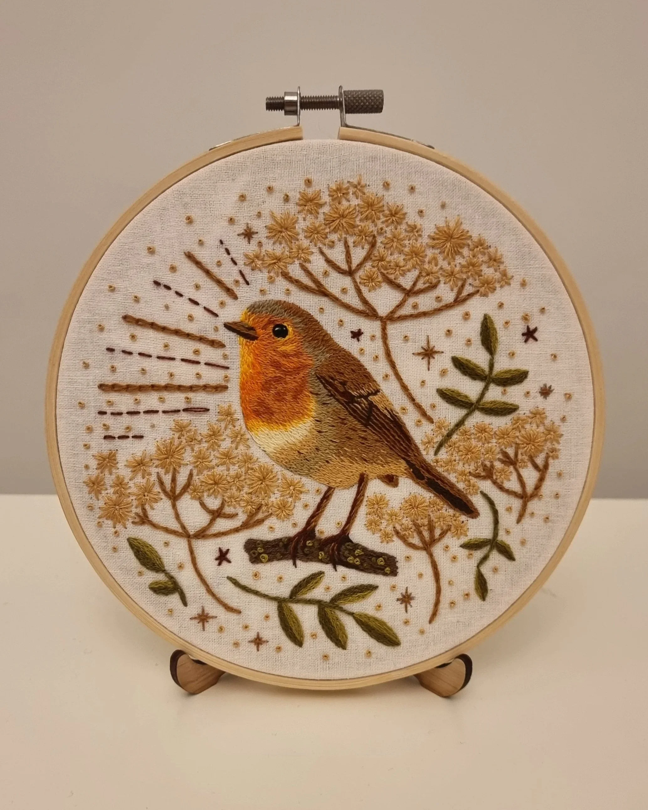 Robin embroidery, stitched from pattern in Paint With Thread: Through the Seasons by Emilie Ferris.
