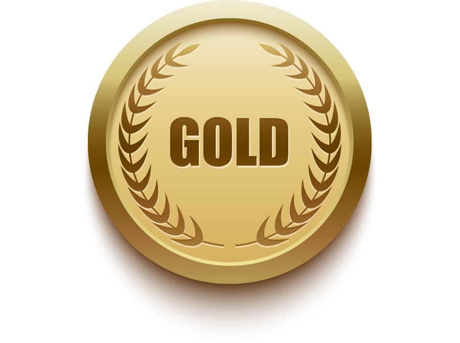 CarrollStrategies -Public-Relations-Gold.png