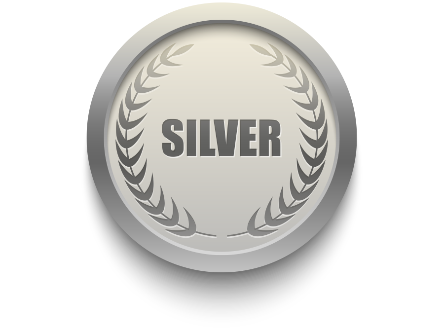 CarrollStrategies -Public-Relations-Silver.png