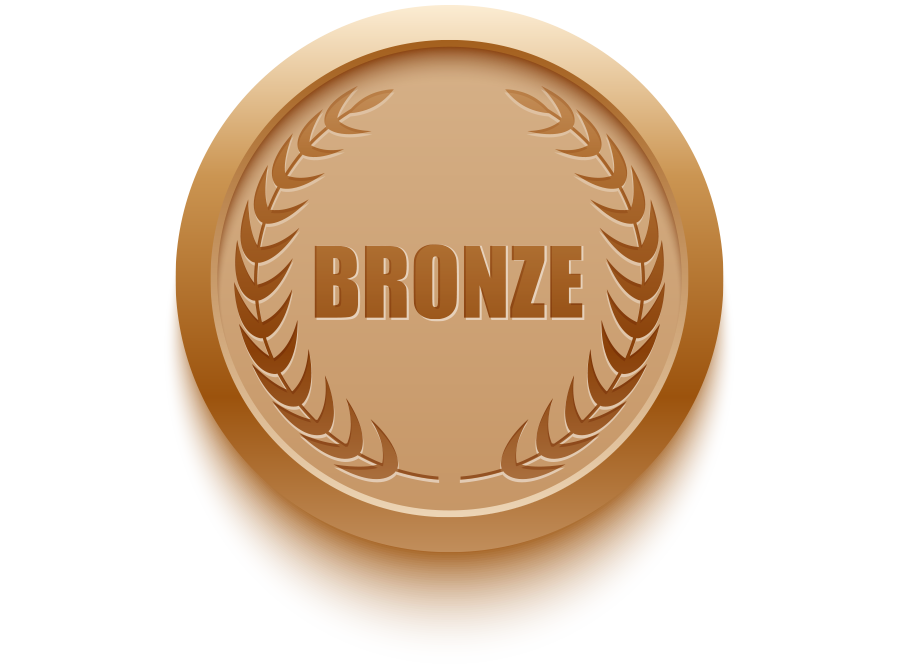 CarrollStrategies -Public-Relations-Bronz.png