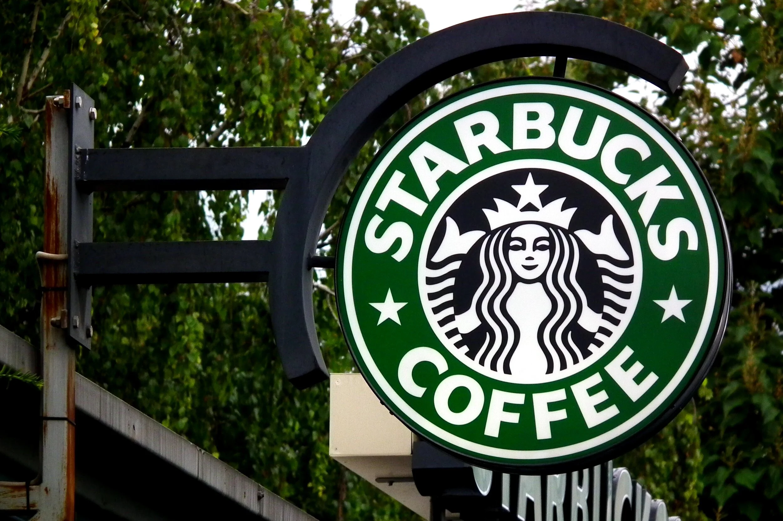 Sit and Don’t Buy at Starbucks