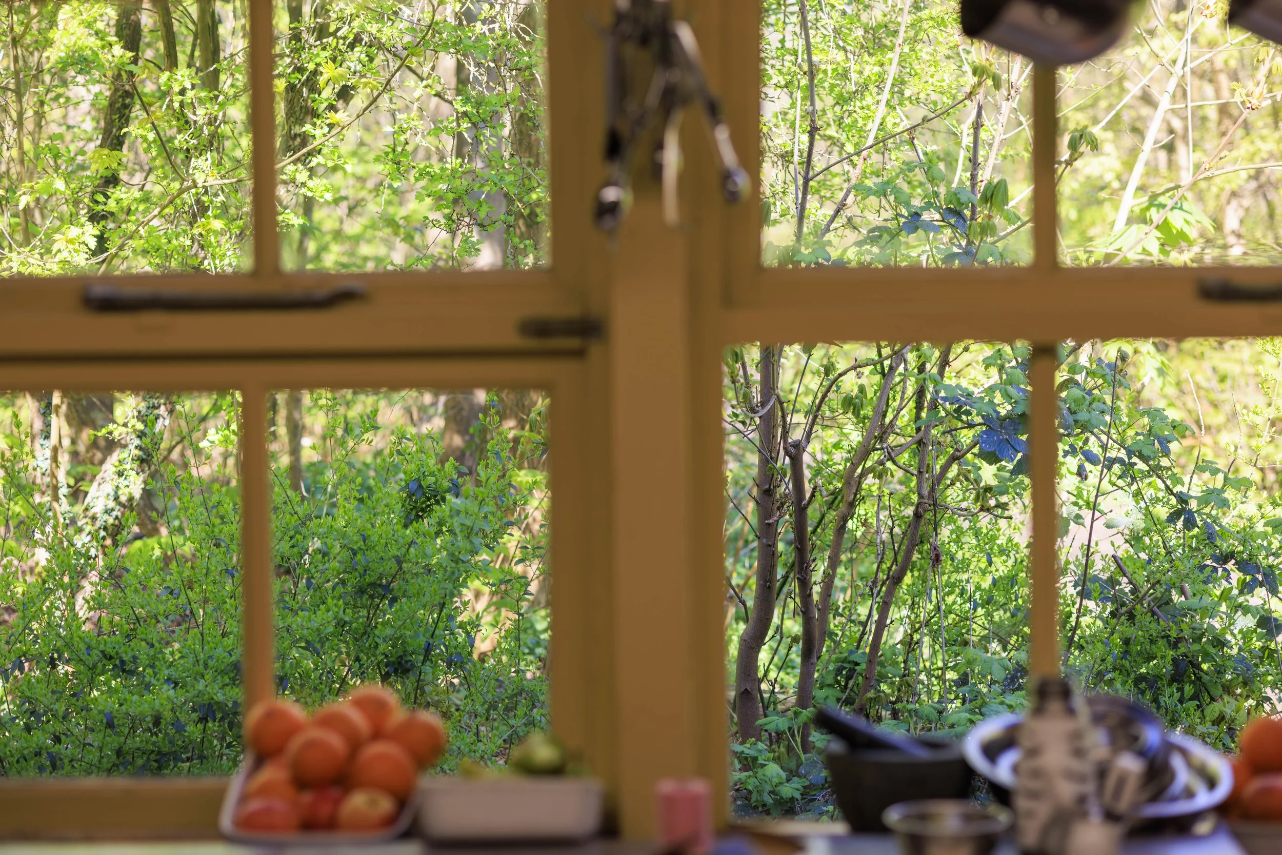 Kijk door een raam naar een tuin met groene bomen en planten, met op de voorgrond een fruitschaal met perziken