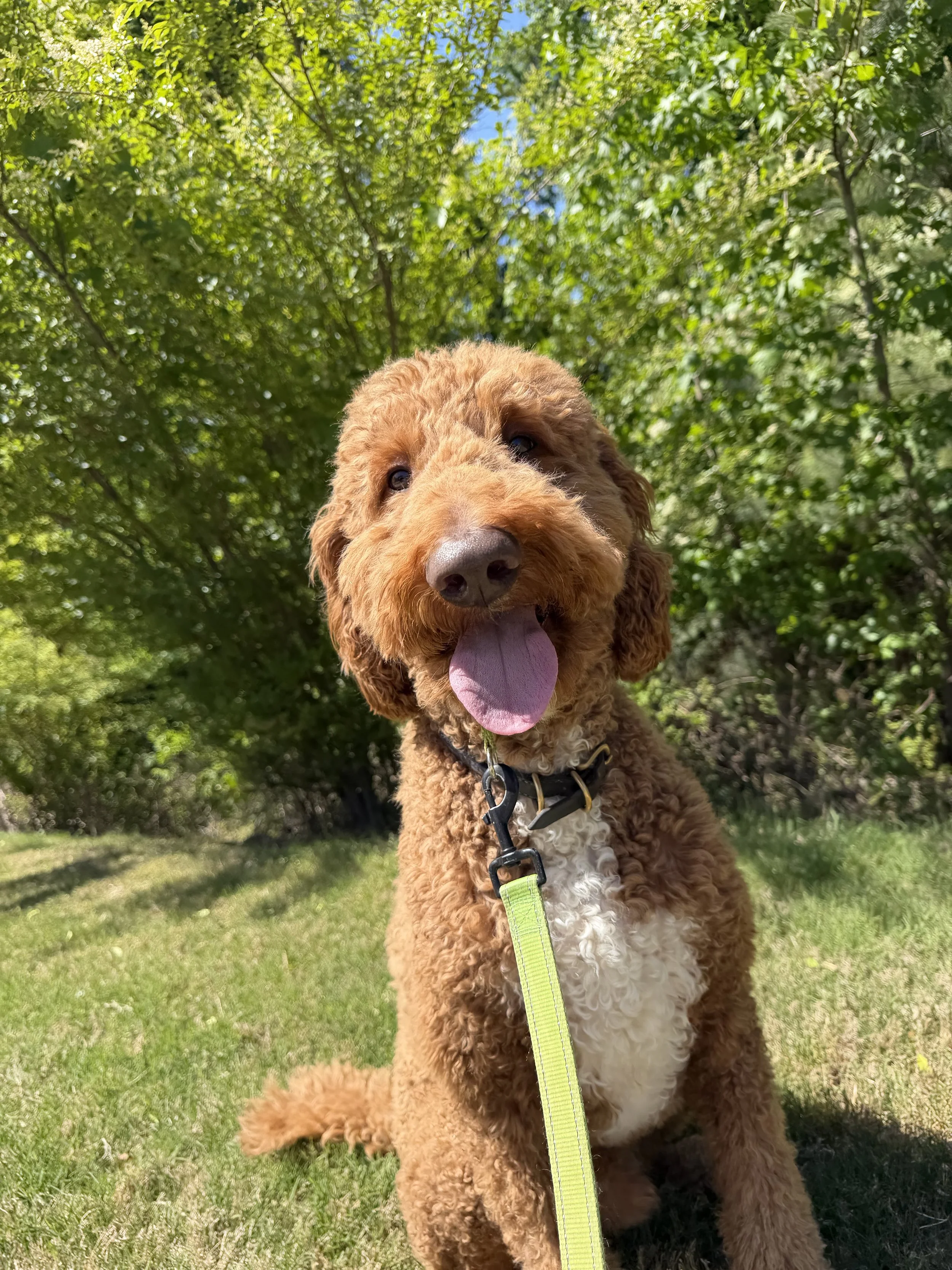 Murphy
