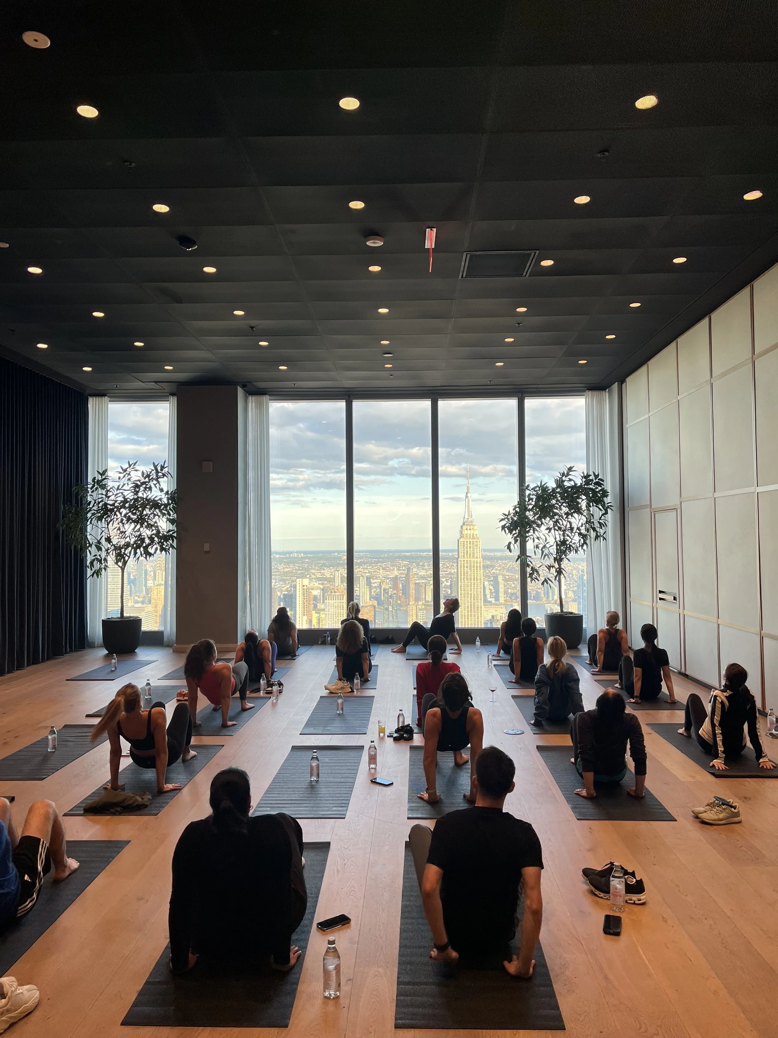 People participating in a yoga class in a studio with large windows, sunlight, and greenery outside.