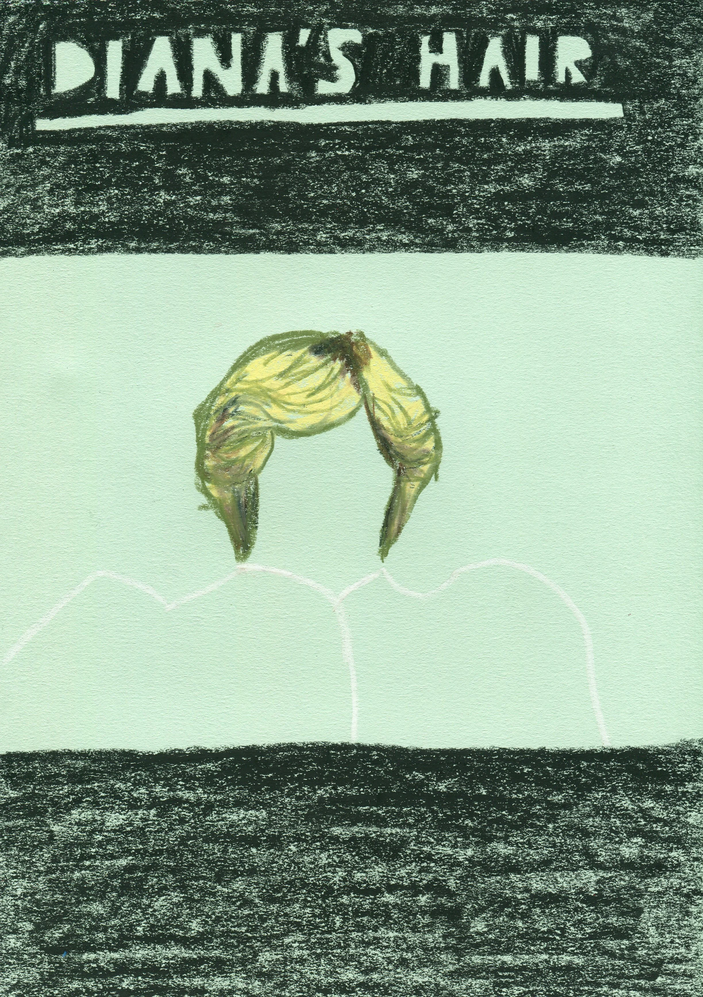 Diana's Hair, 2017
Wax oil pastel on paper
21 x 30 cm