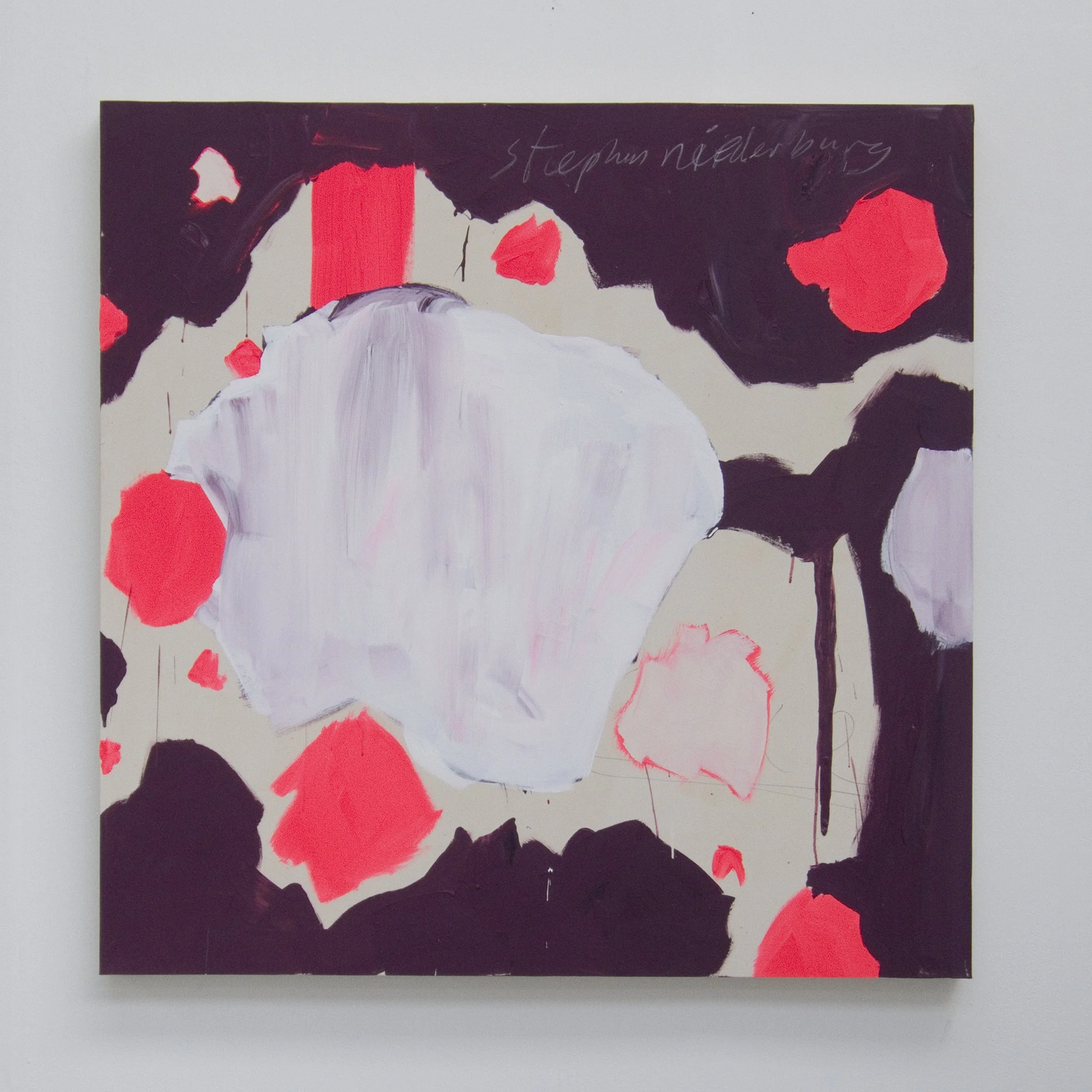 Steven Neiderburg, 2007
Acrylic, household paint and oil pastel on canvas
150 x 150 cm