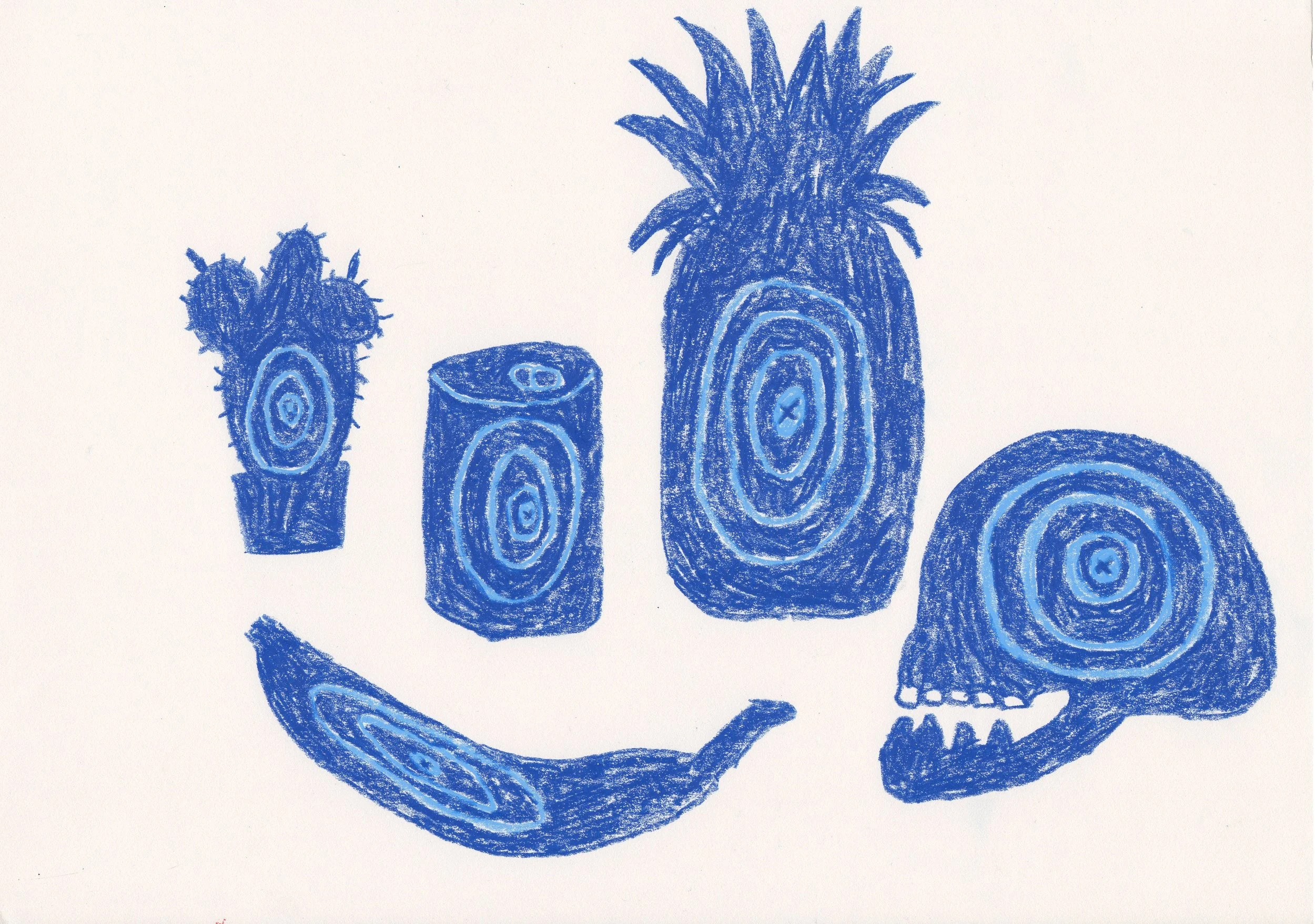cactus, can, banana, pineapple, skull target 2017
wax pastel on paper
30 x 42 cm