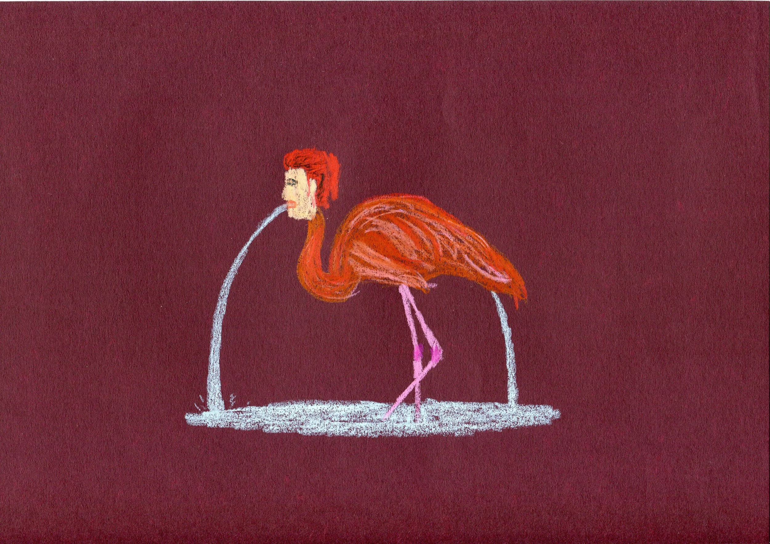 Alys Flamingo, 2014
Wax oil pastel on paper
21 x 30 cm