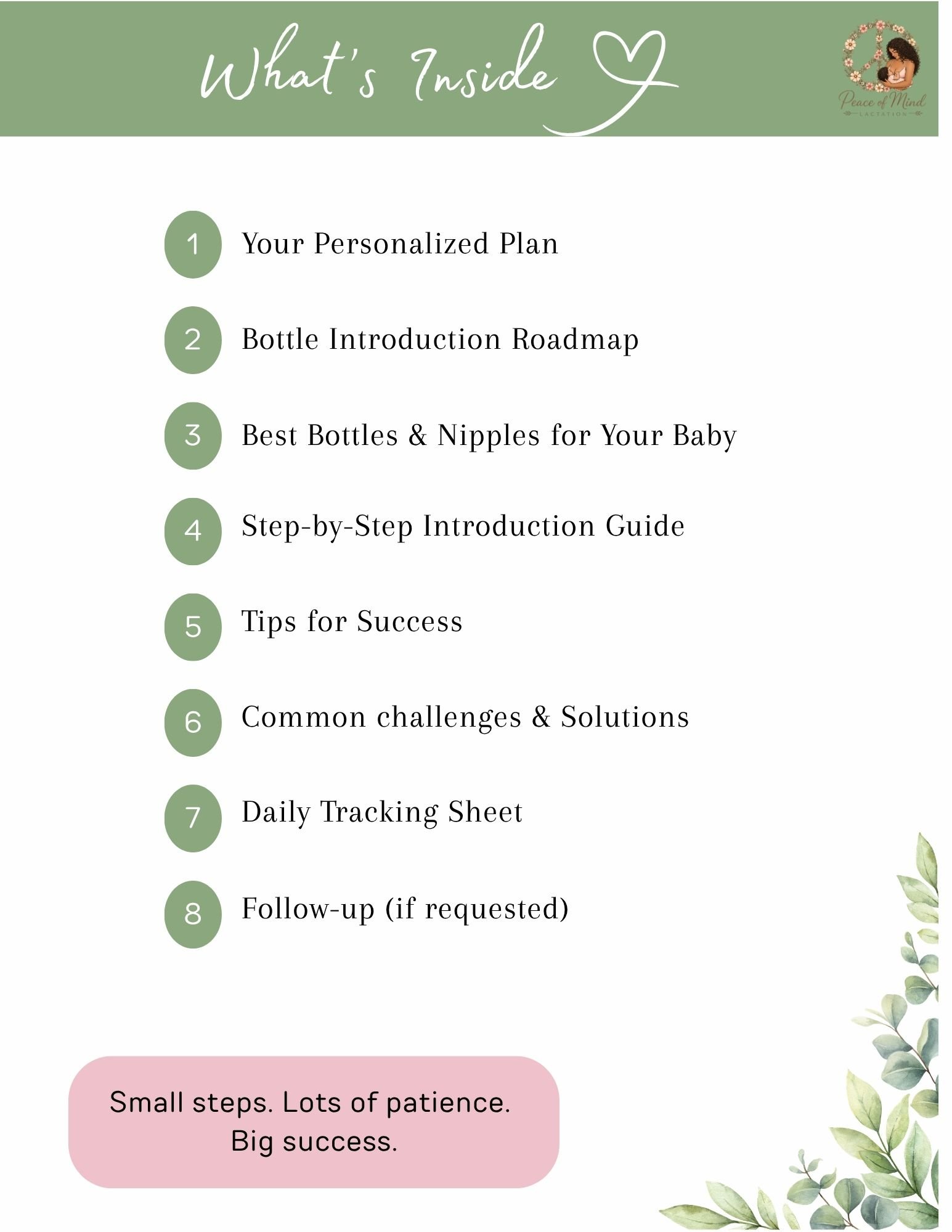 Bottle Introduction Plan (2).jpg
