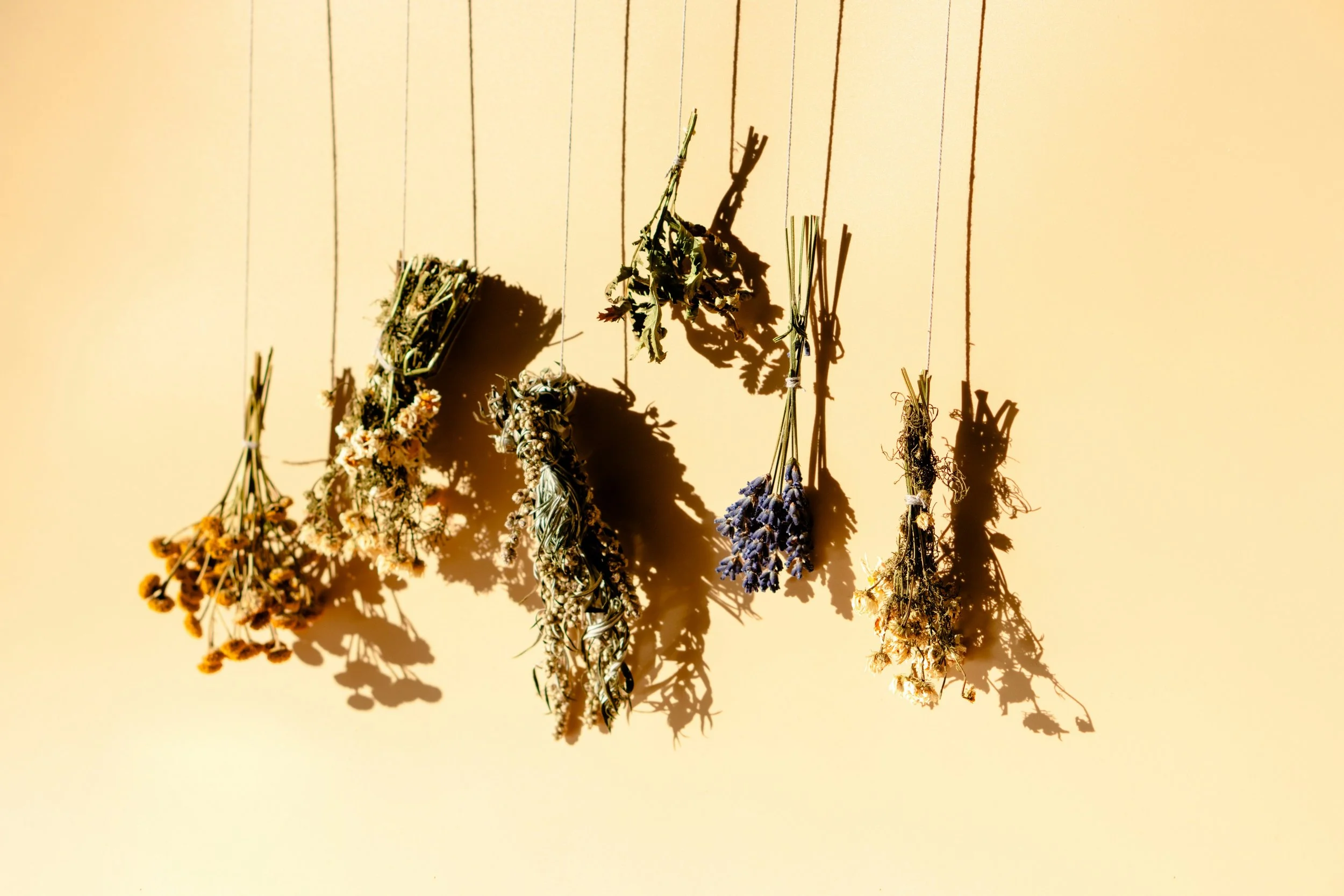 ayurveda 3.jpg