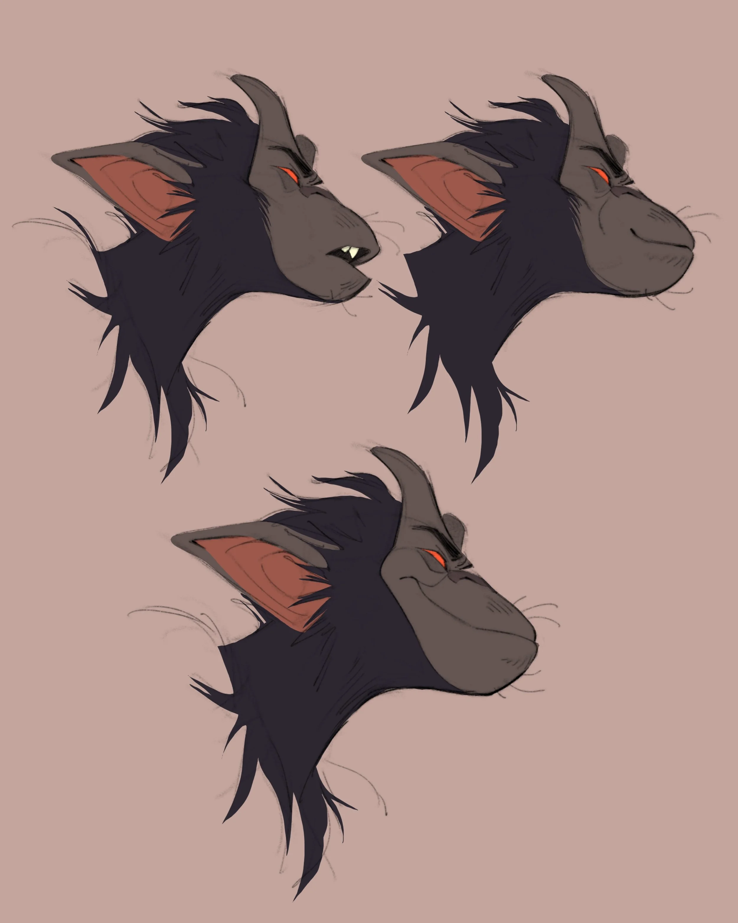 Ten_Expressions_3.jpg