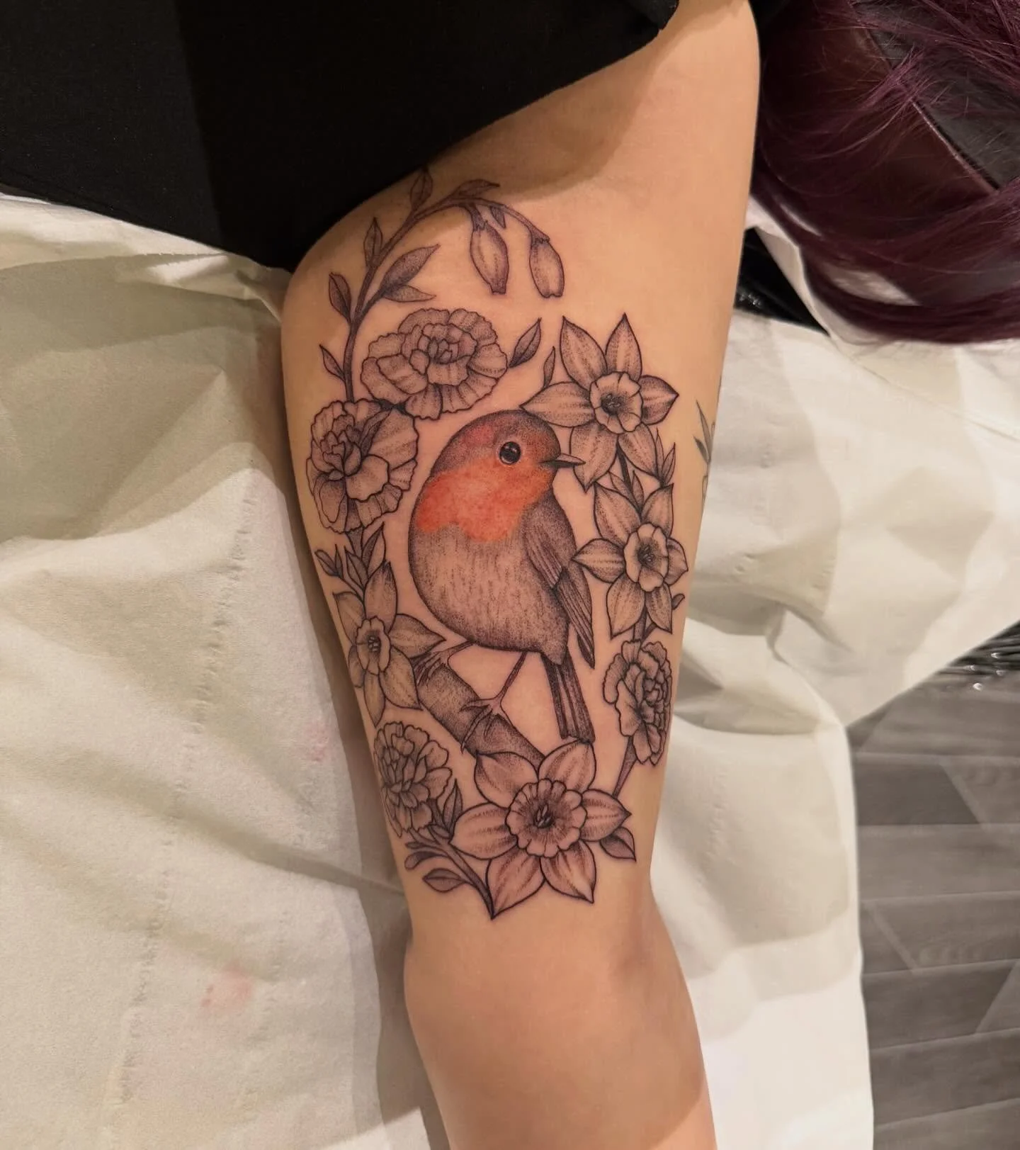 bird.jpeg