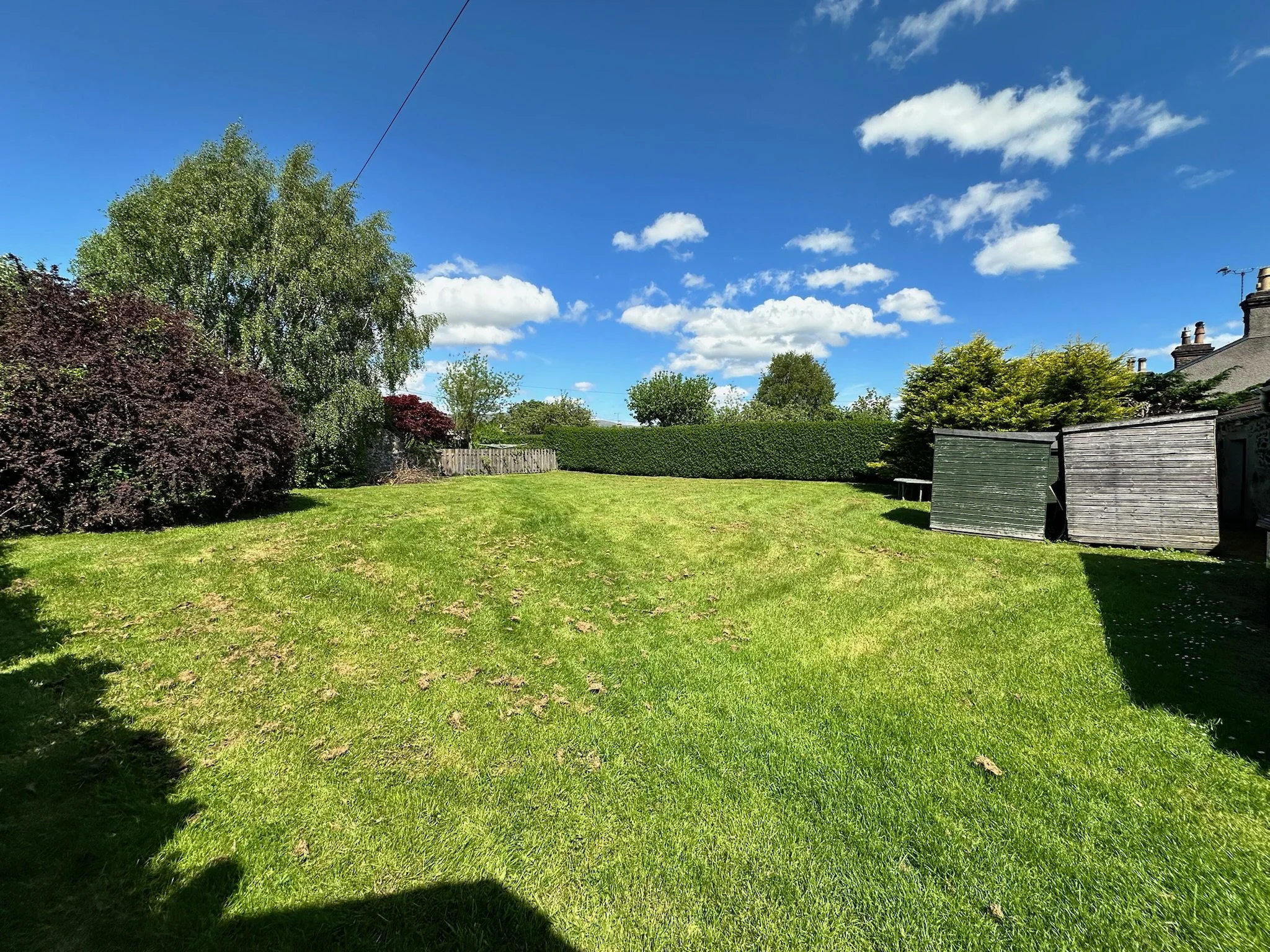 A backyard with green grass, trees, a wooden fence, shrubbery, and house rooftops visible in the background under a bright blue sky with scattered clouds.