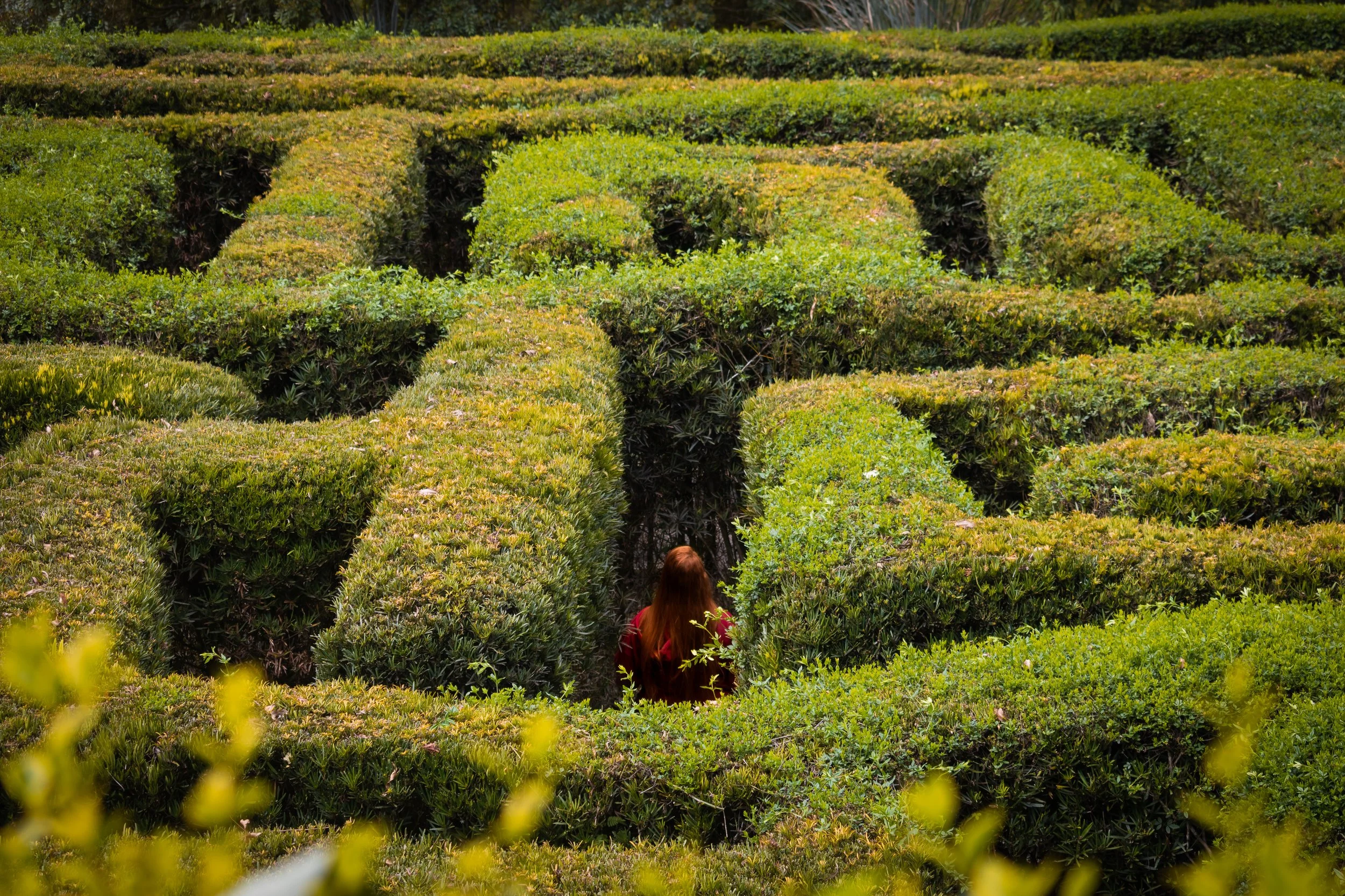 Navigating the Disannexation Maze: How Texas Landowners Can Reclaim Their Independence