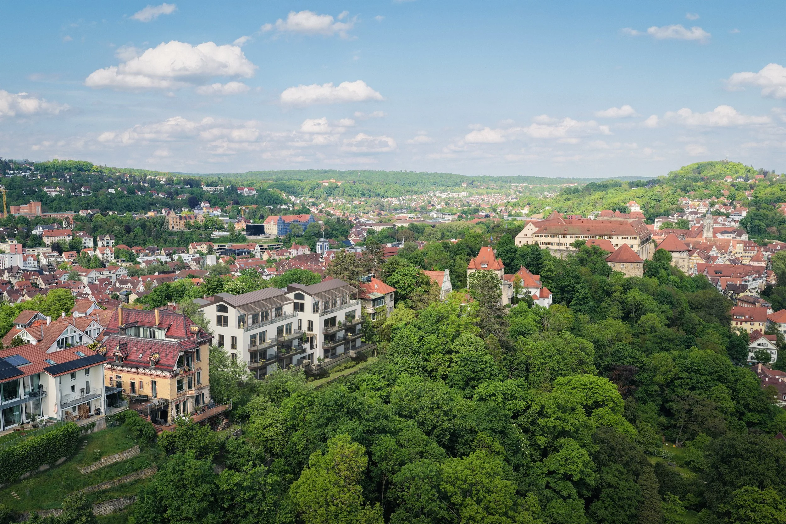 Drohne Schloss reduziert.jpg
