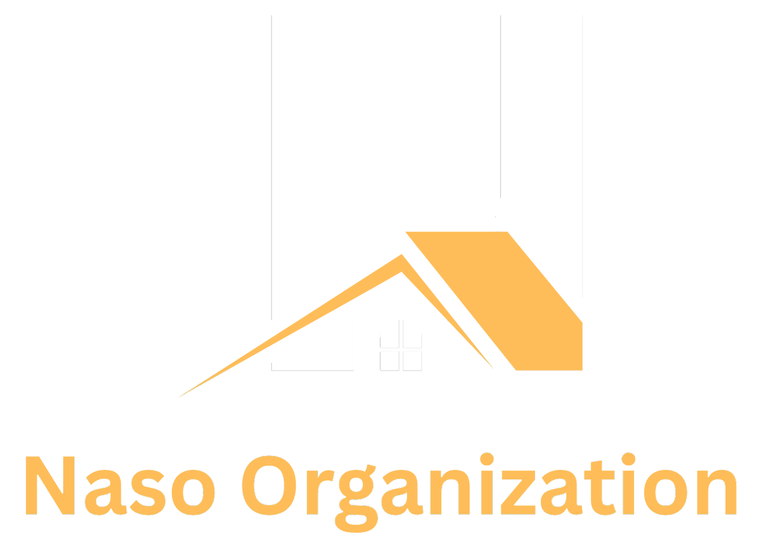 The Naso Organization