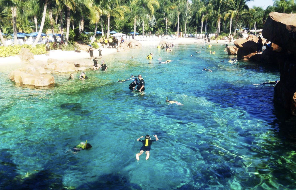 People swimming and snorkeling in a tropical lagoon with clear blue water, surrounded by rocks and lush green palm trees.