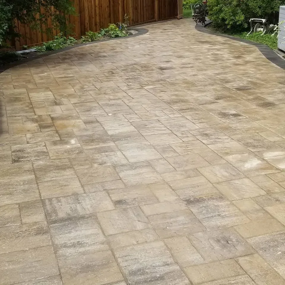 A newly installed beige brick patio in a backyard, bordered by a wooden fence and some greenery, with some gardening tools and plants along the edge.
