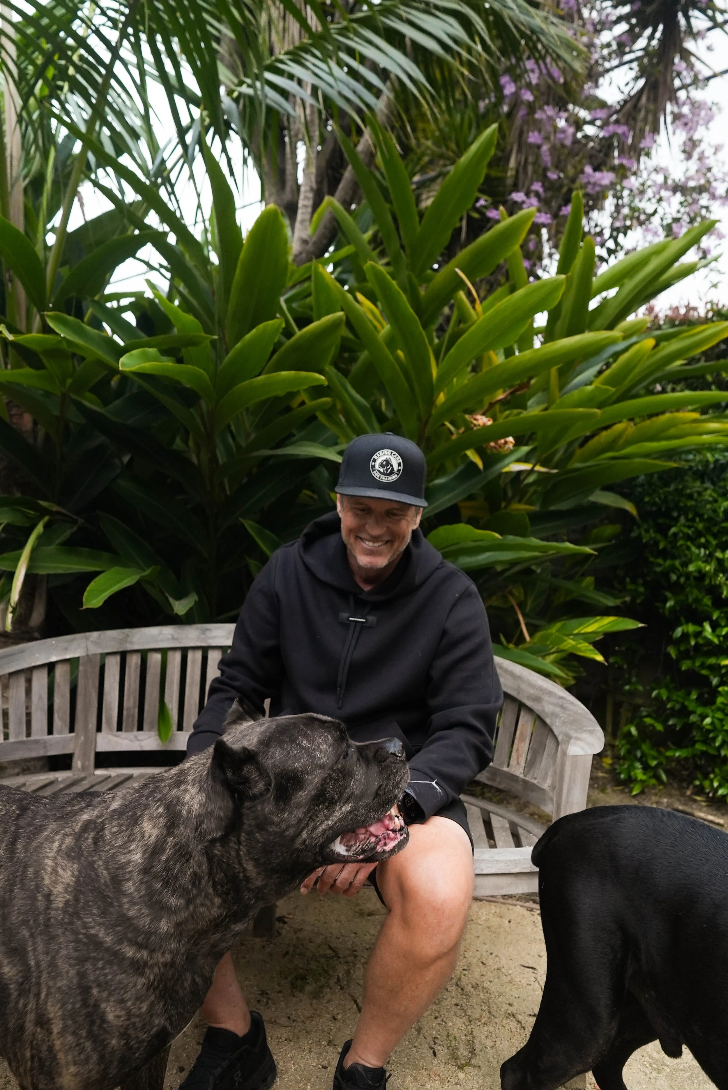 A smiling man in a black hoodie and cap sitting on a wooden bench outdoors, interacting with two large dogs, one brindle and one black, surrounded by lush green plants and flowers.