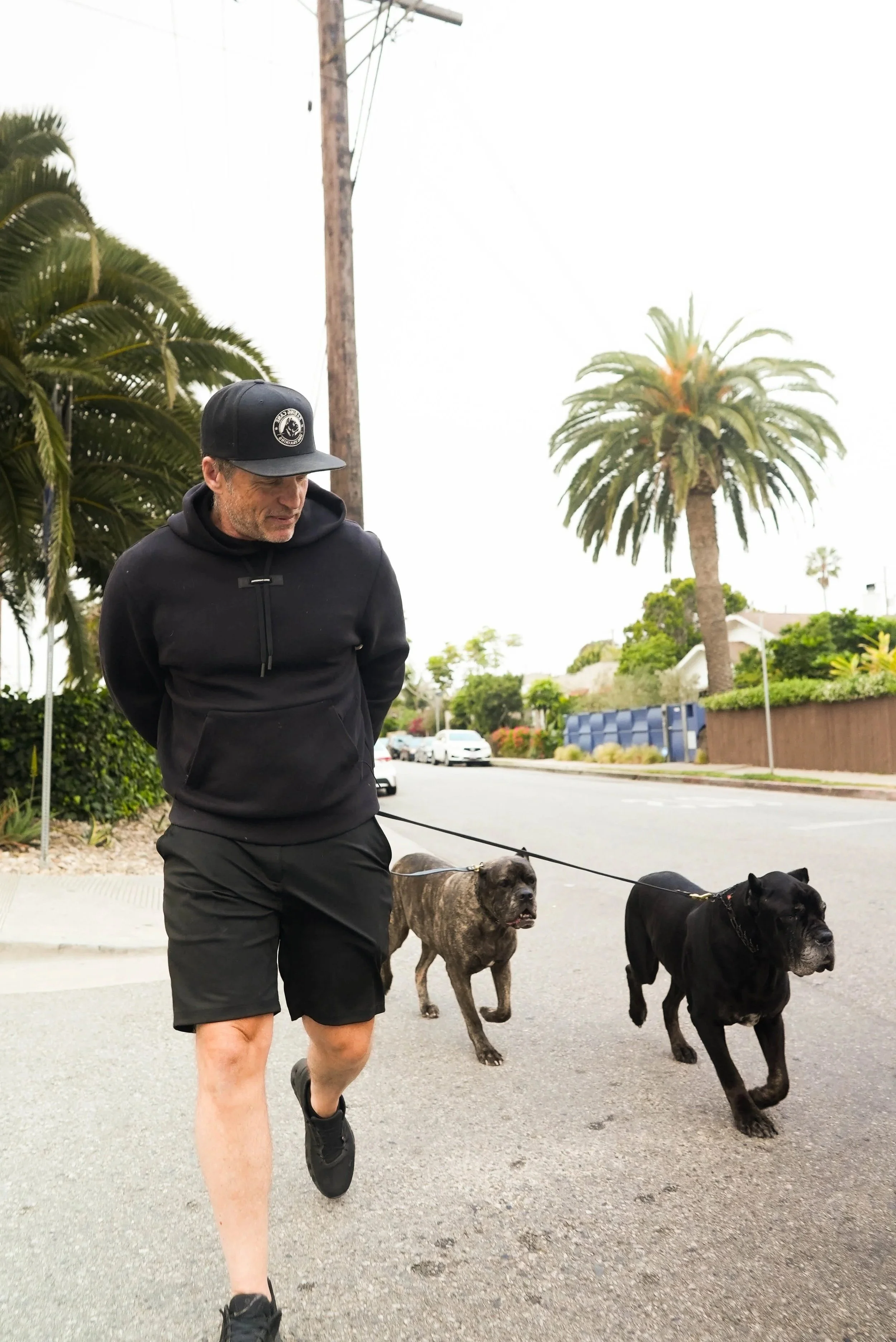 A man wearing a black hoodie, black baseball cap, and black shoes walking two large dogs on a street. Palm trees and cars are visible in the background.