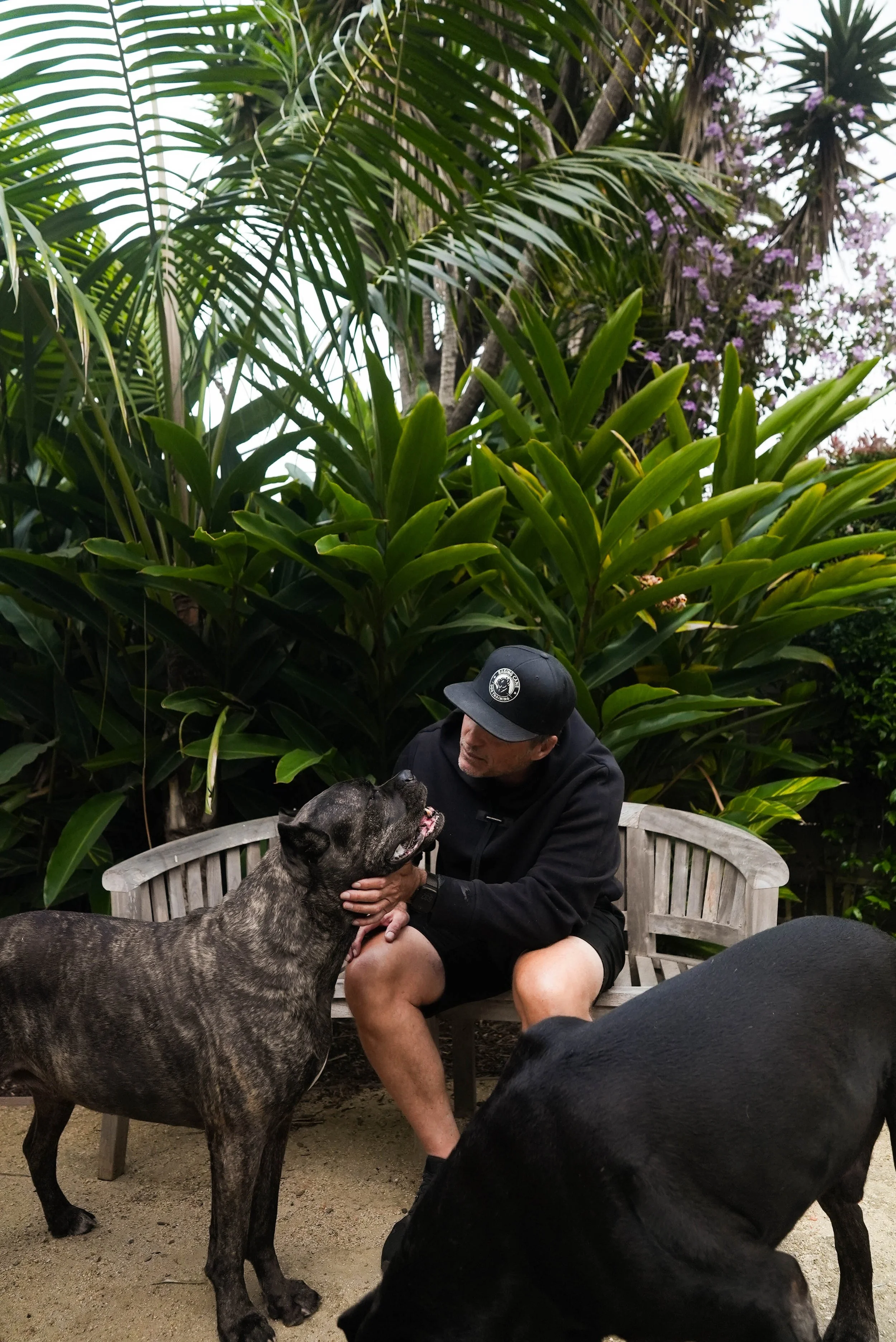 A man wearing a black baseball cap and black hoodie sitting on a wooden bench in a garden surrounded by large green plants. He is petting a black dog with a brindle coat, while another black dog is in the foreground.
