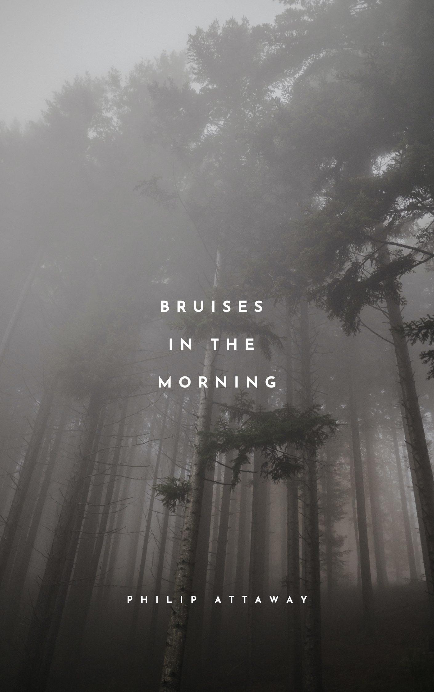 Bruises in the Morning - Pre Order