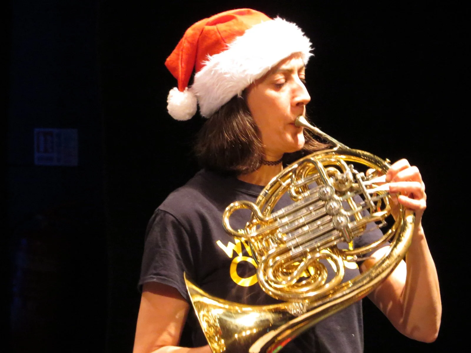 WhistleBlast's Winter Wonderland - School Performance