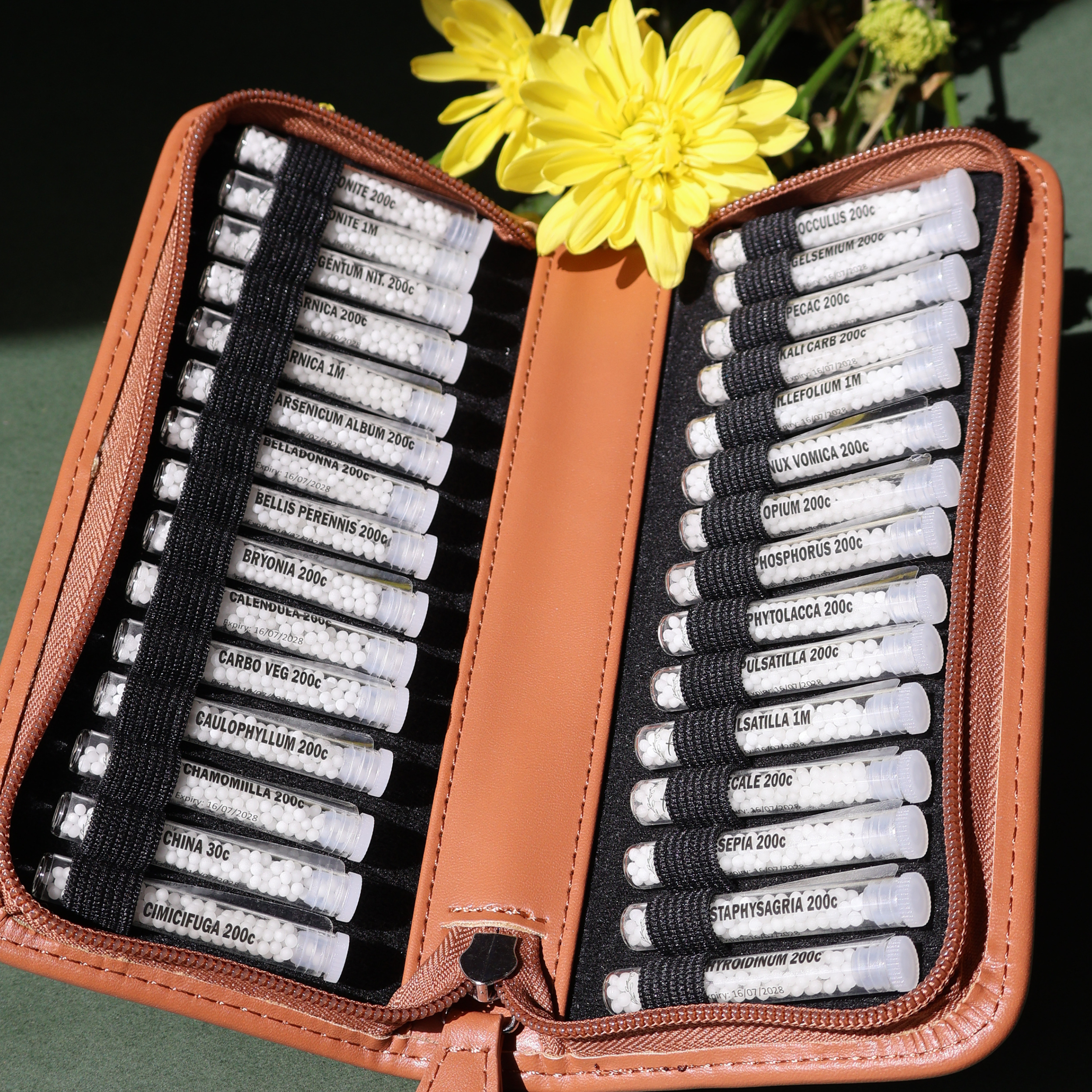 Basic Family Essentials Homeopathy Guided Kit